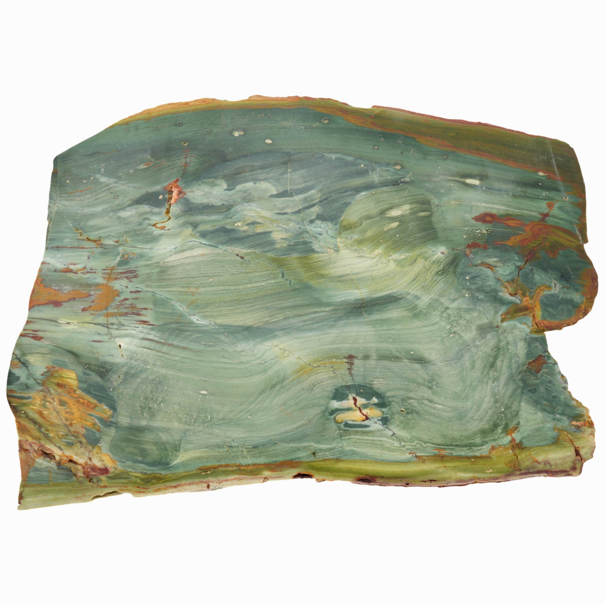 Gary Green Jasper Slab - Rare Elipsio Orbs with Red Dendrites