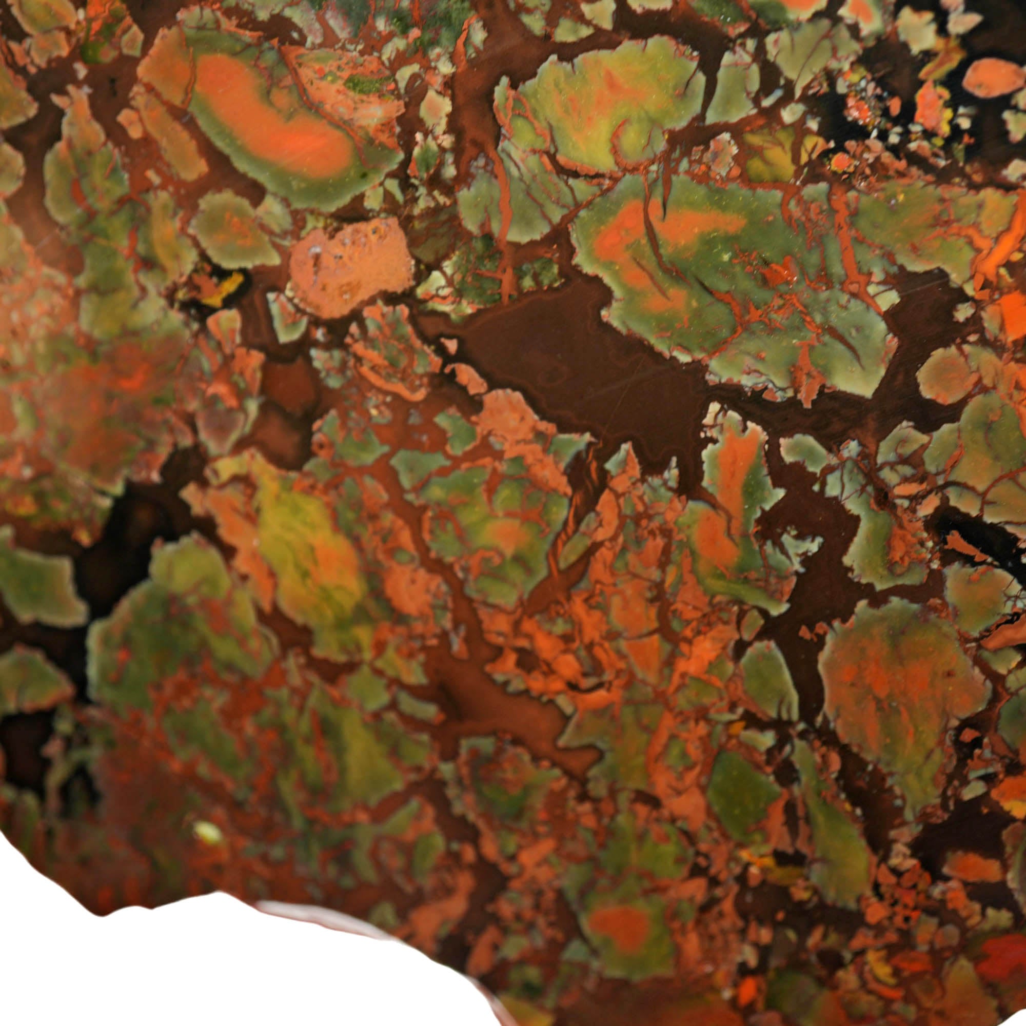 Whiskey Creek Jasper Slab - Brecciated Dark Coffee Pattern Idaho