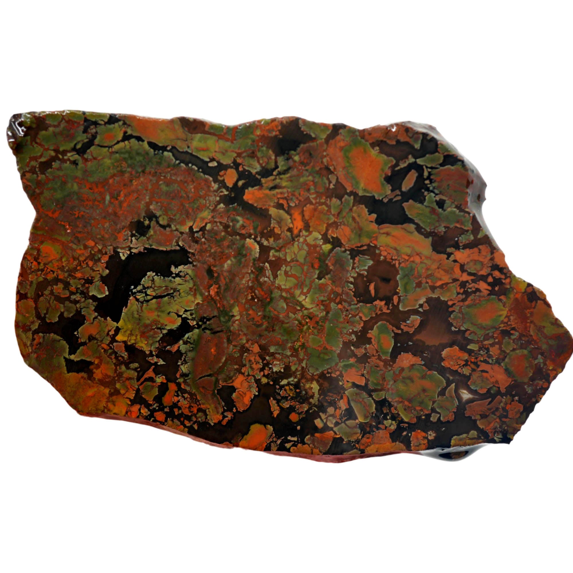 Whiskey Creek Jasper Slab - Brecciated Dark Coffee Pattern Idaho