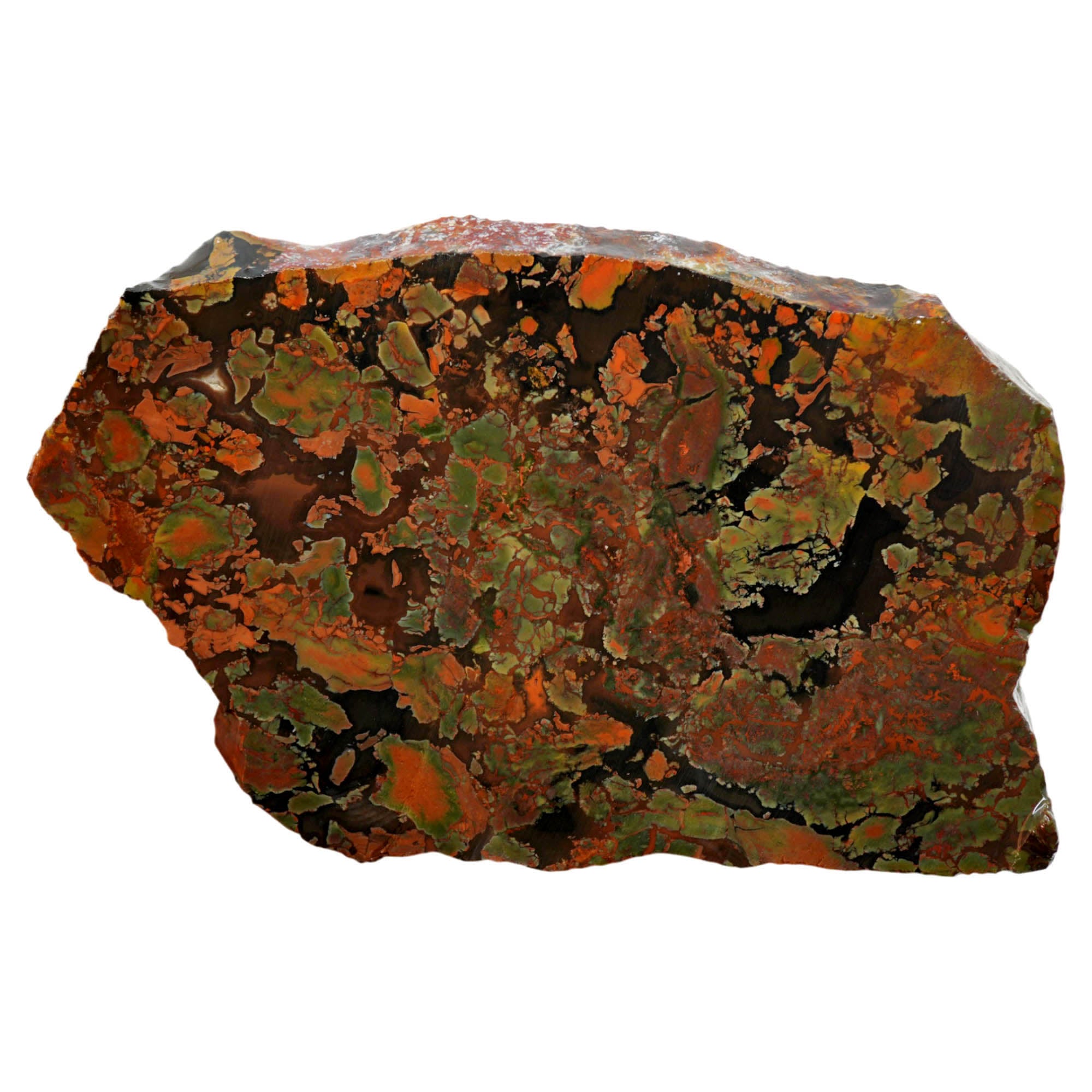 Whiskey Creek Jasper Slab - Brecciated Dark Coffee Pattern Idaho