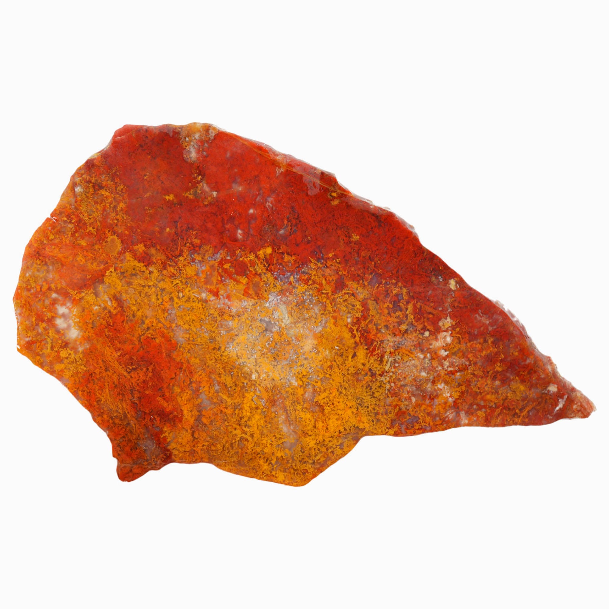 Powell Butte Plume Agate Slab - Vivid Green Gold Moss Old Stock