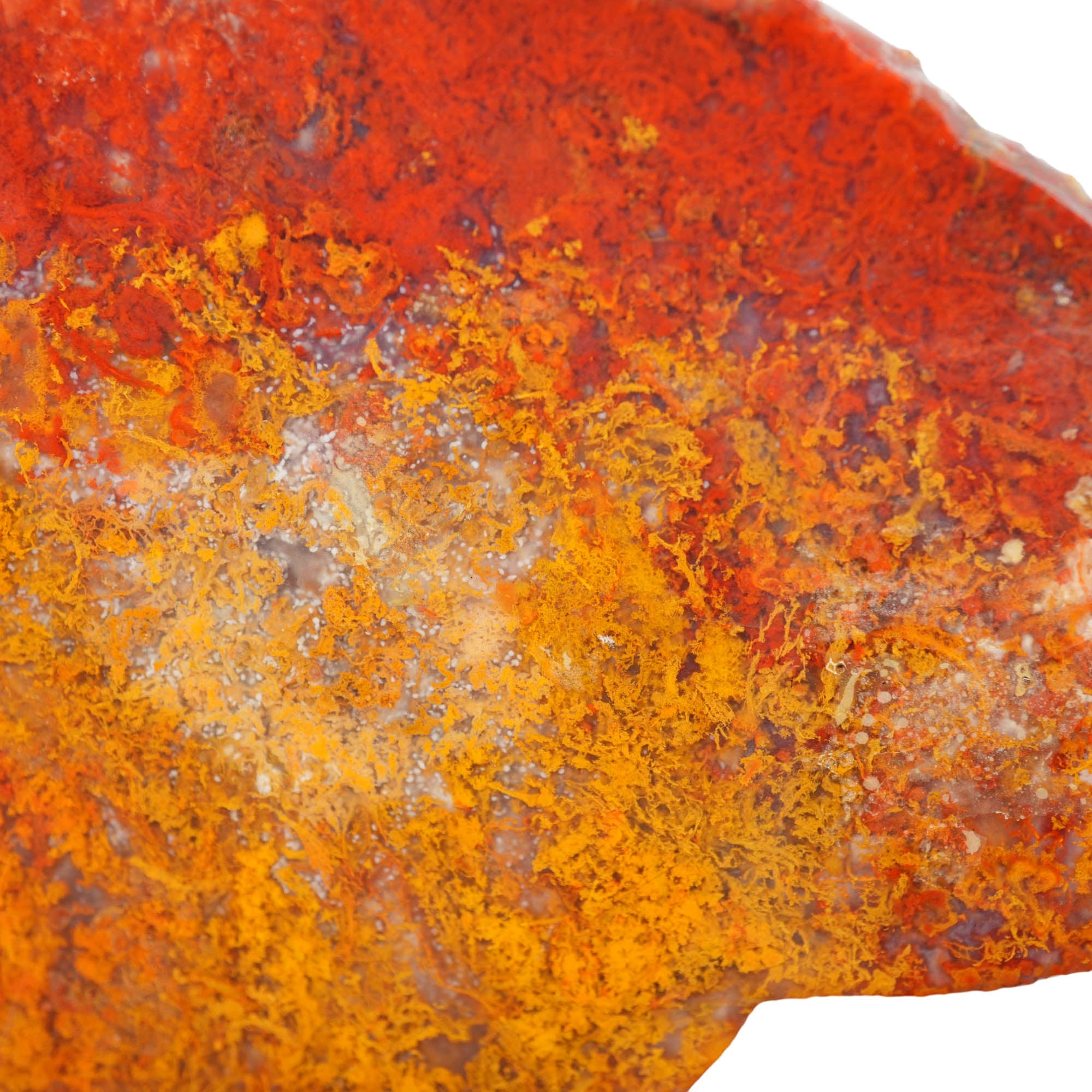Powell Butte Plume Agate Slab - Vivid Green Gold Moss Old Stock