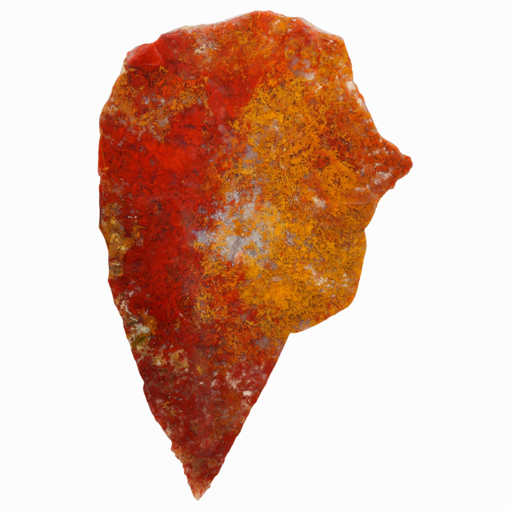 Powell Butte Plume Agate Slab - Vivid Green Gold Moss Old Stock