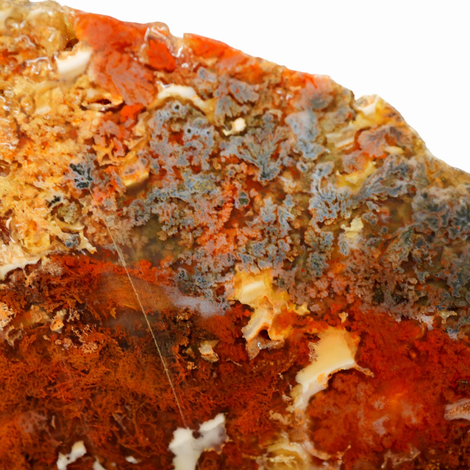 Powell Butte Plume Agate Slab - Black Red Orange Plume Quant Collection