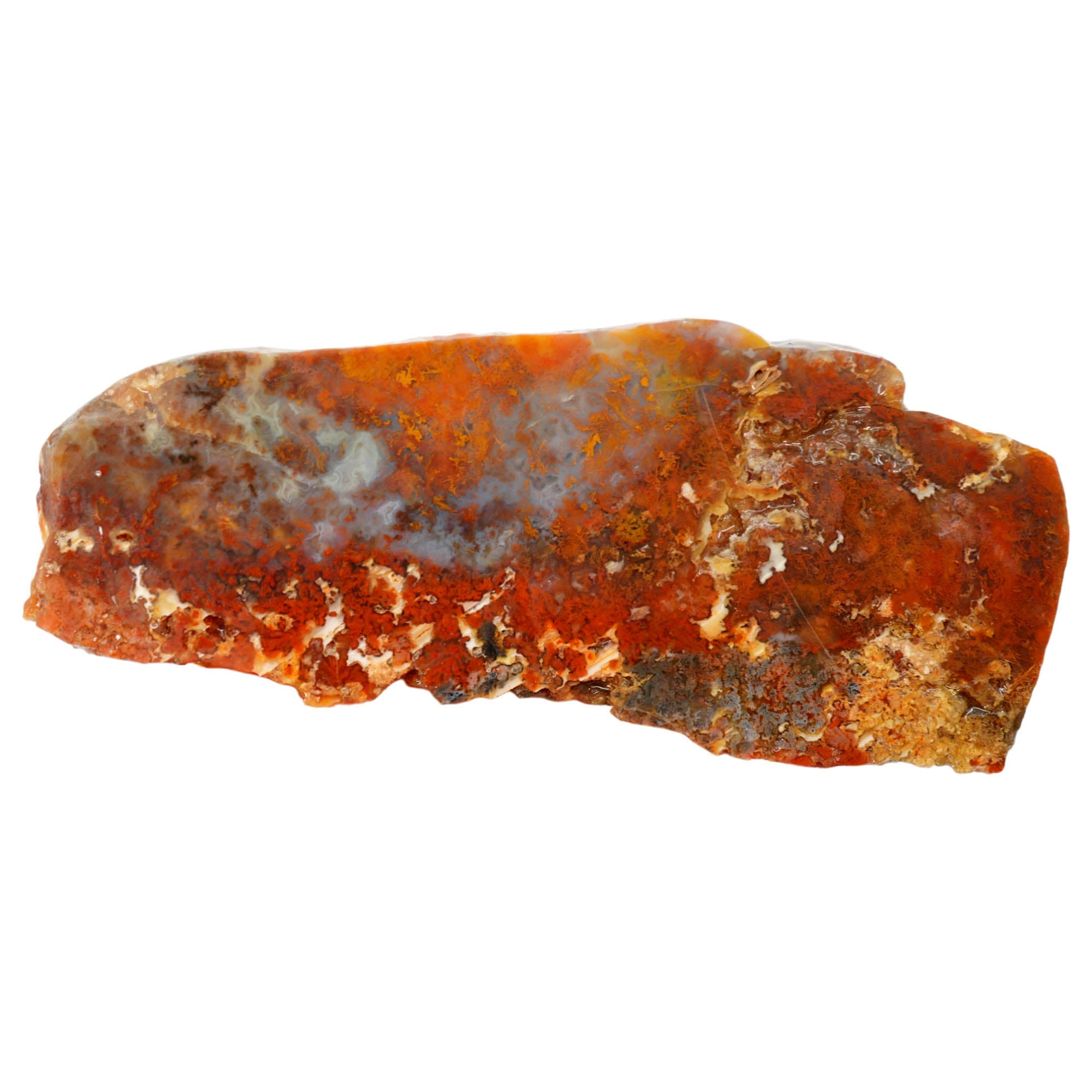 Powell Butte Plume Agate Slab - Black Red Orange Plume Quant Collection
