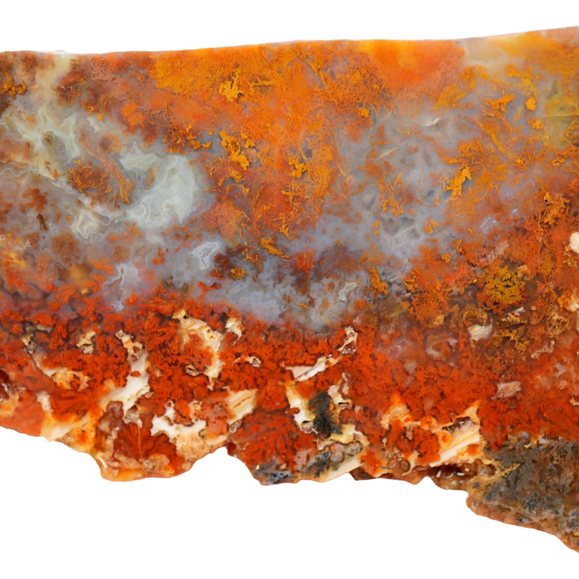 Powell Butte Plume Agate Slab - Black Red Orange Plume Quant Collection