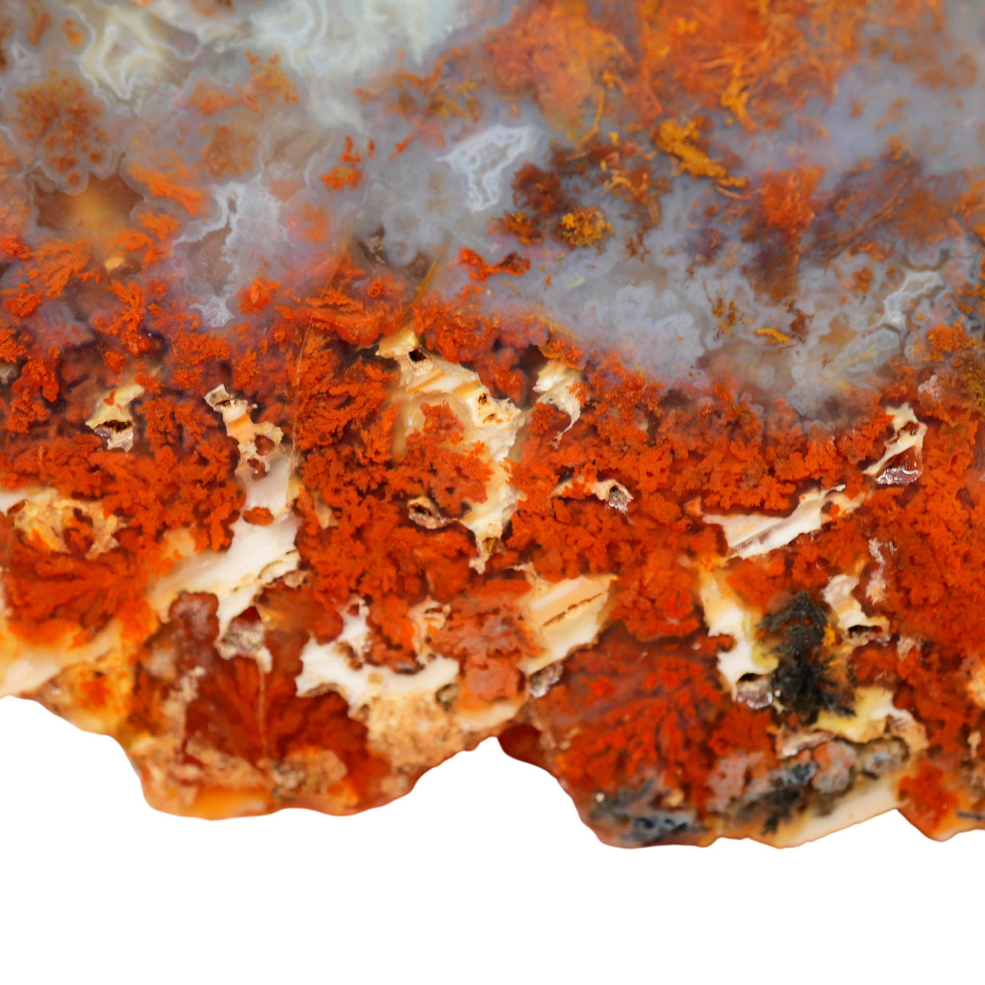 Powell Butte Plume Agate Slab - Black Red Orange Plume Quant Collection