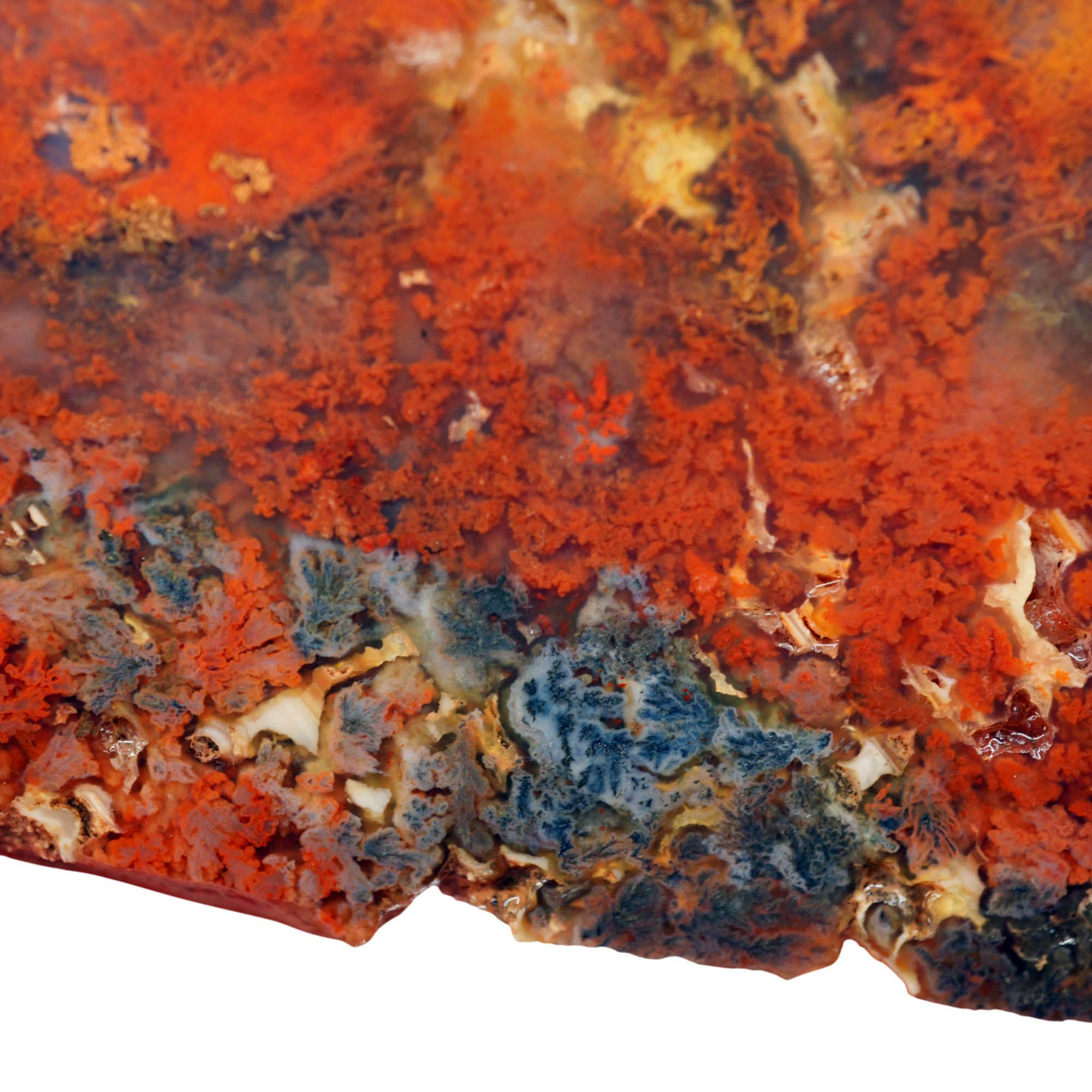 Powell Butte Plume Agate Slab - Black Red Orange Plume Quant Collection