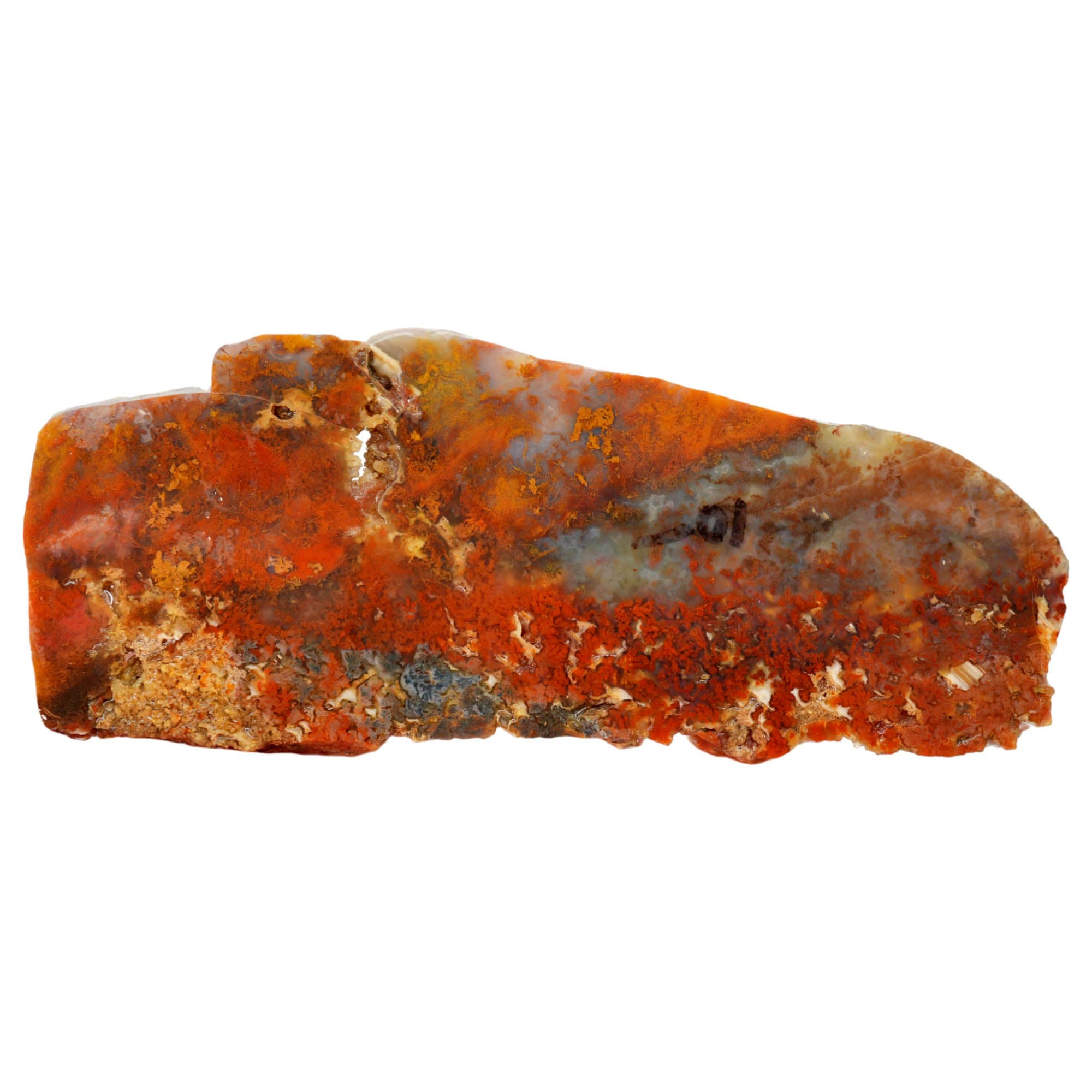Powell Butte Plume Agate Slab - Black Red Orange Plume Quant Collection