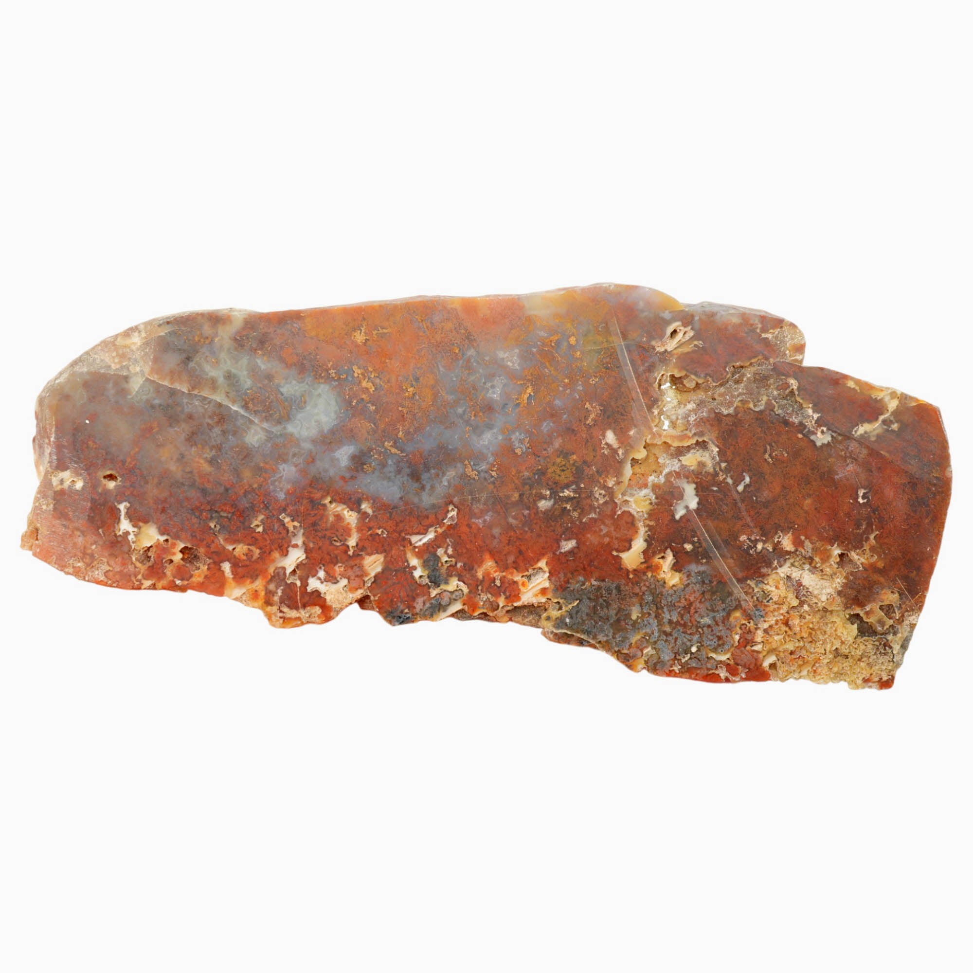 Powell Butte Plume Agate Slab - Black Red Orange Plume Quant Collection