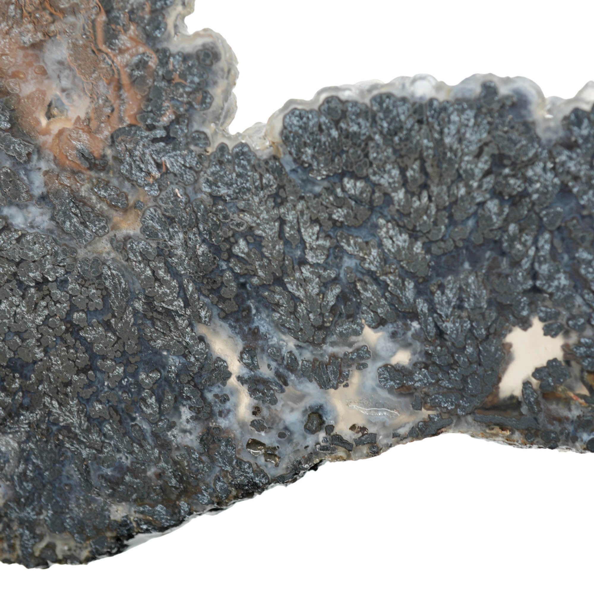 Psilomelane Marcasite Slab - Metallic Plume with High Contrast Banding