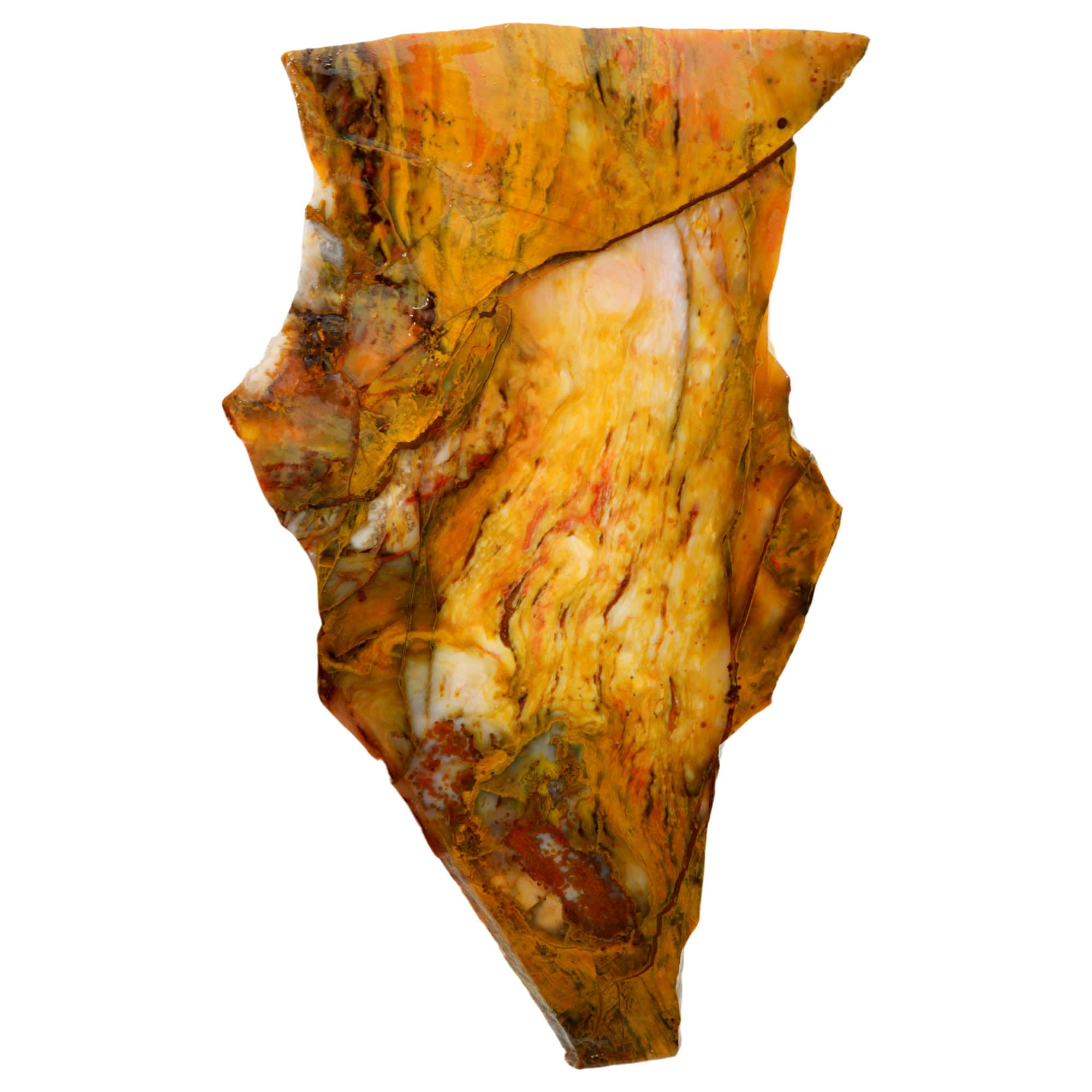 Polka Dot Agate Slab - Wavy Buckskin Pattern Old Stock Larger Slab