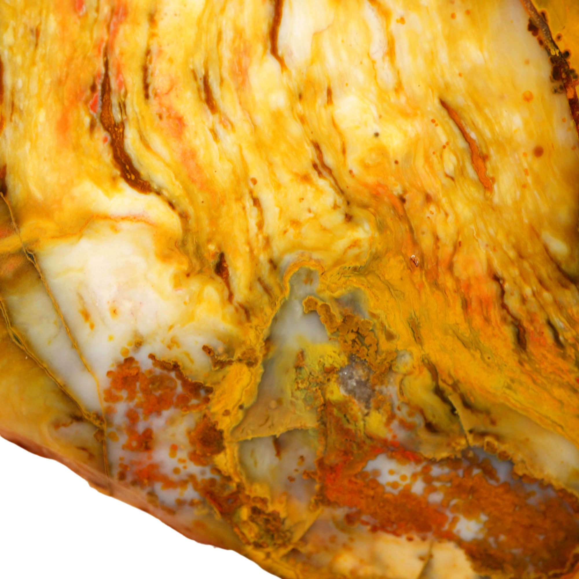 Polka Dot Agate Slab - Wavy Buckskin Pattern Old Stock Larger Slab