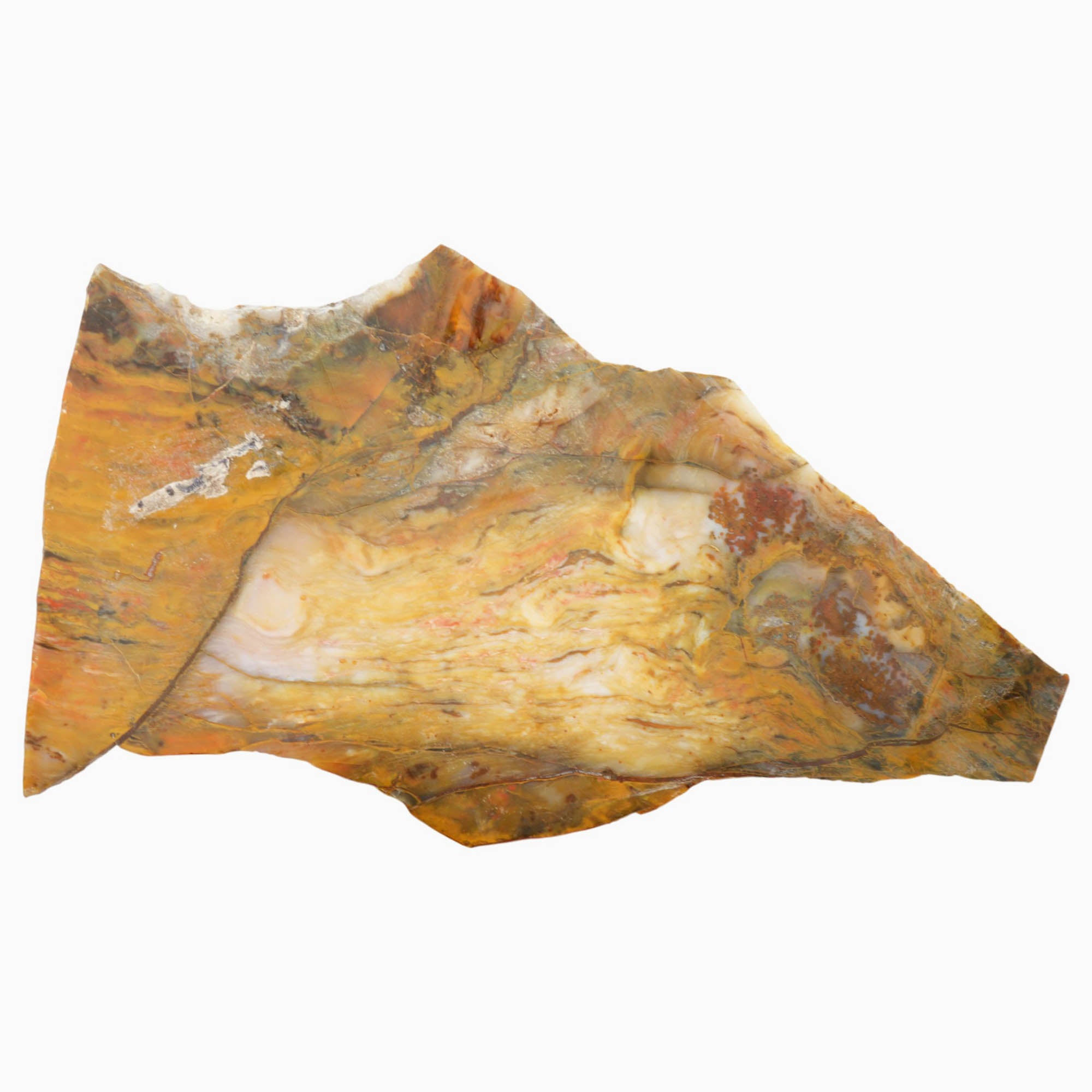 Polka Dot Agate Slab - Wavy Buckskin Pattern Old Stock Larger Slab