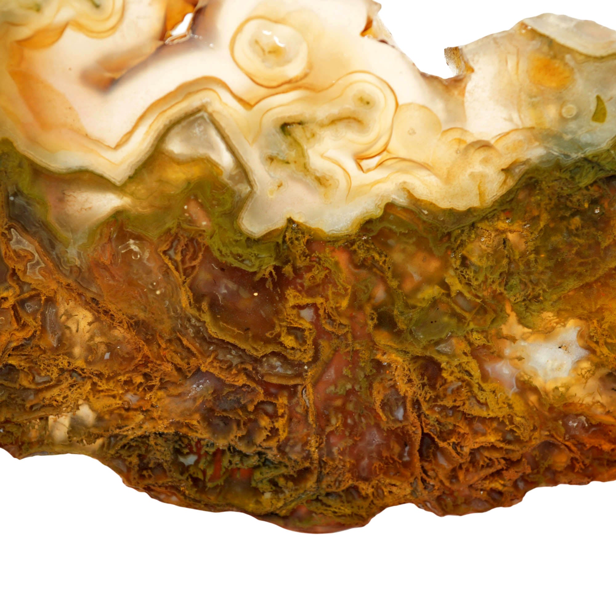 Maury Mountain Moss Agate Slab - Green Gold Moss with Tubes Old Stock