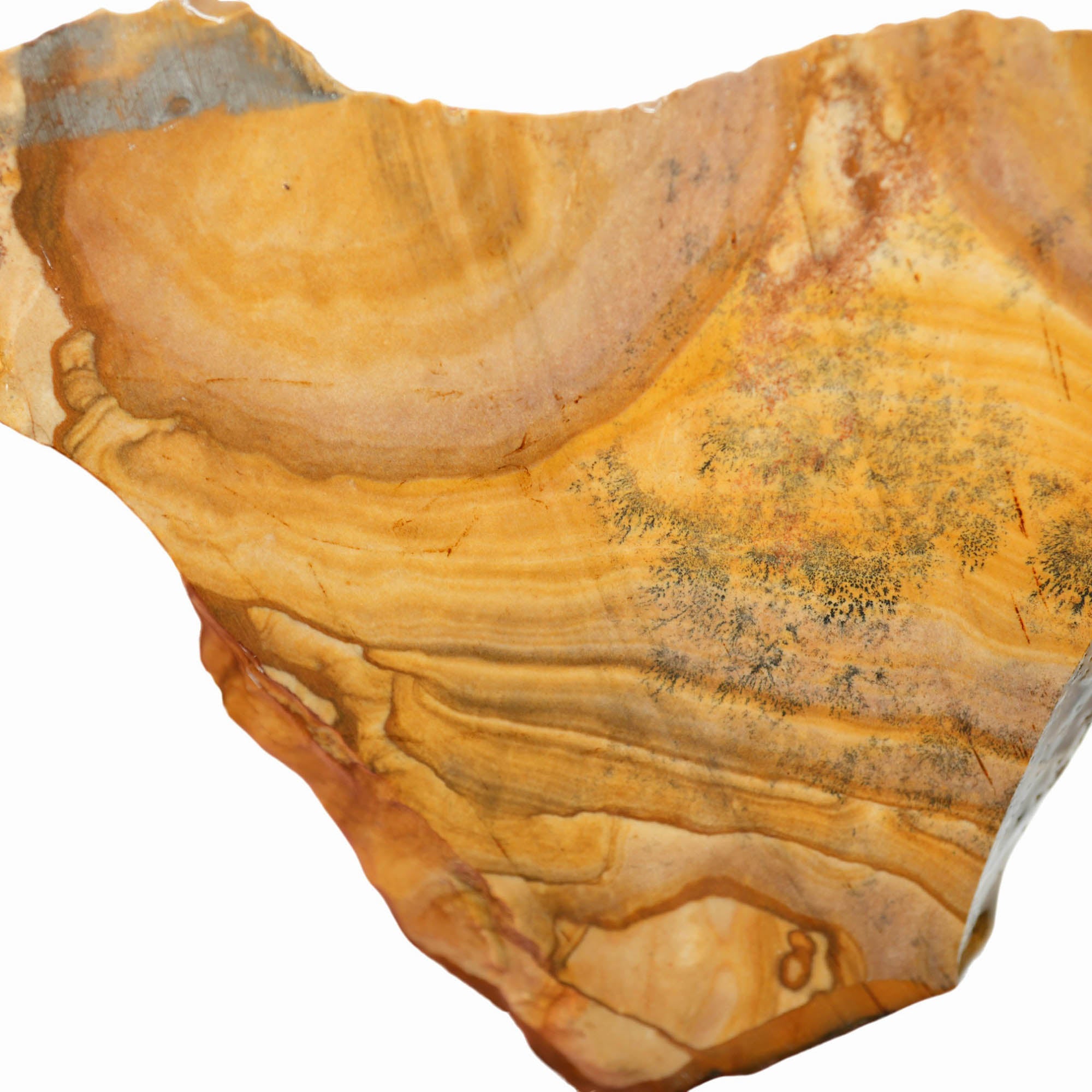 Biggs Picture Jasper Slab - Blue Biggs Wavy Desert Hills with Dendrites