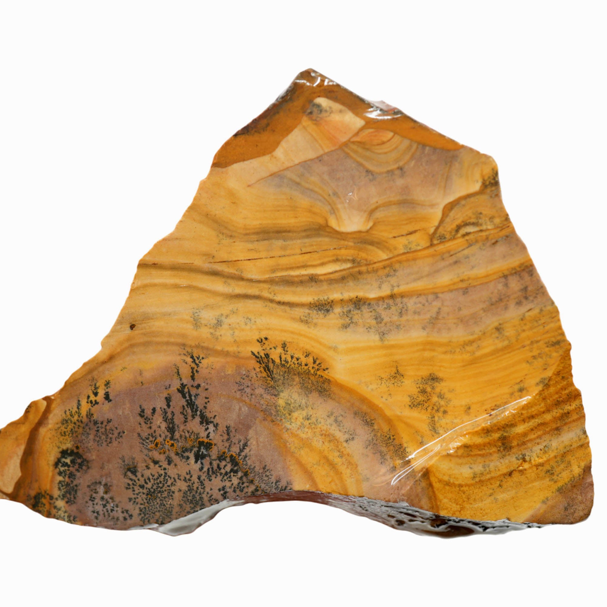 Biggs Picture Jasper Slab - Blue Biggs Wavy Desert Hills with Dendrites