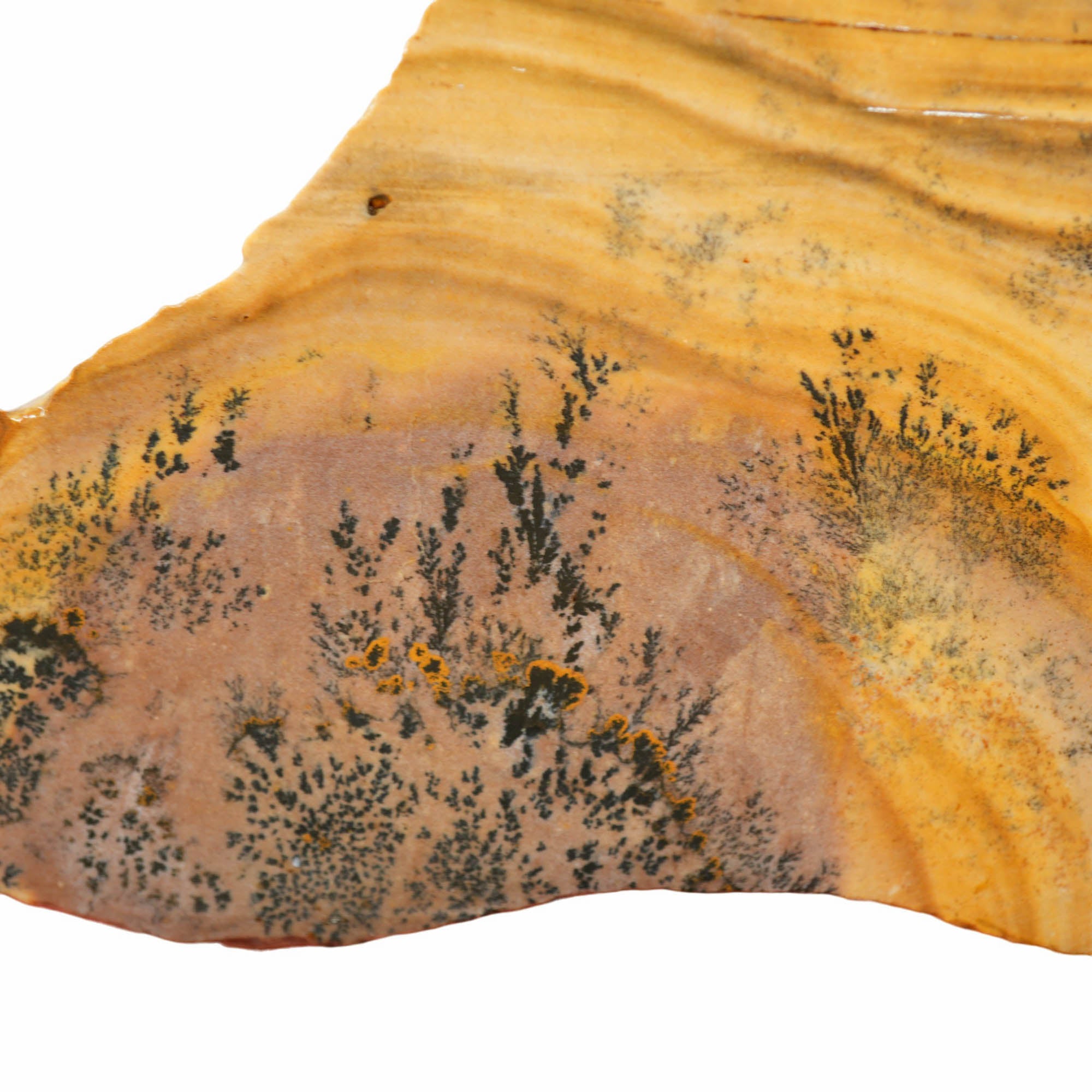 Biggs Picture Jasper Slab - Blue Biggs Wavy Desert Hills with Dendrites