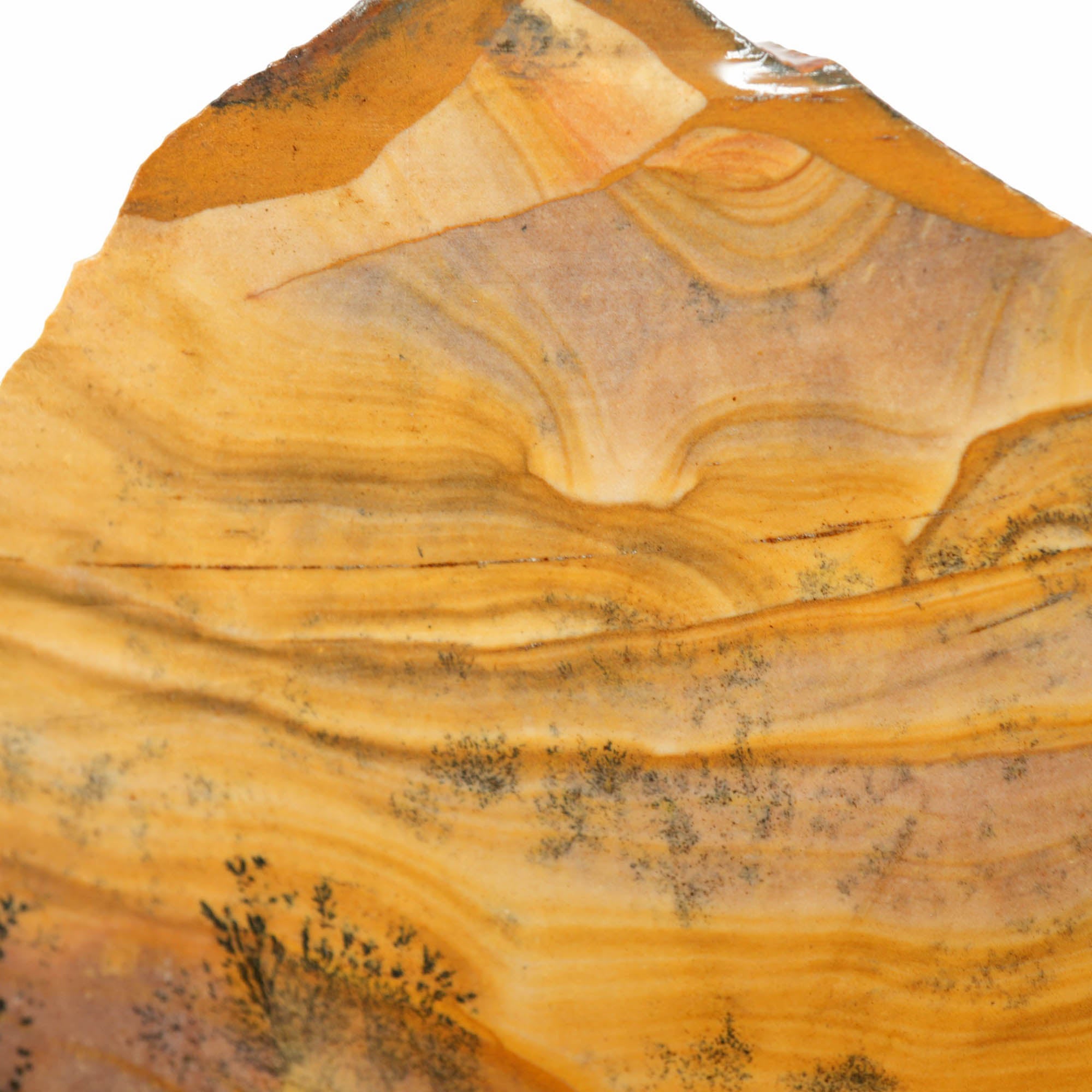 Biggs Picture Jasper Slab - Blue Biggs Wavy Desert Hills with Dendrites