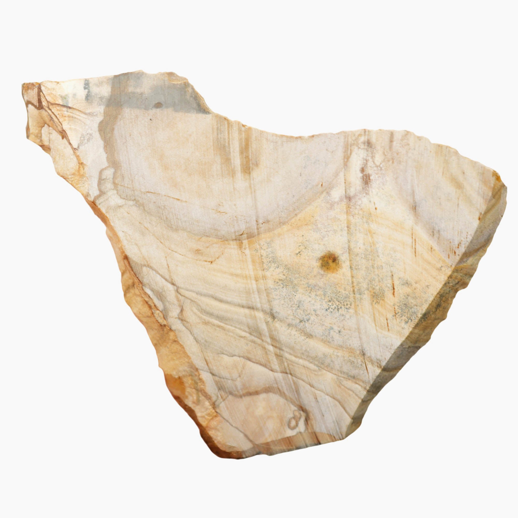Biggs Picture Jasper Slab - Blue Biggs Wavy Desert Hills with Dendrites
