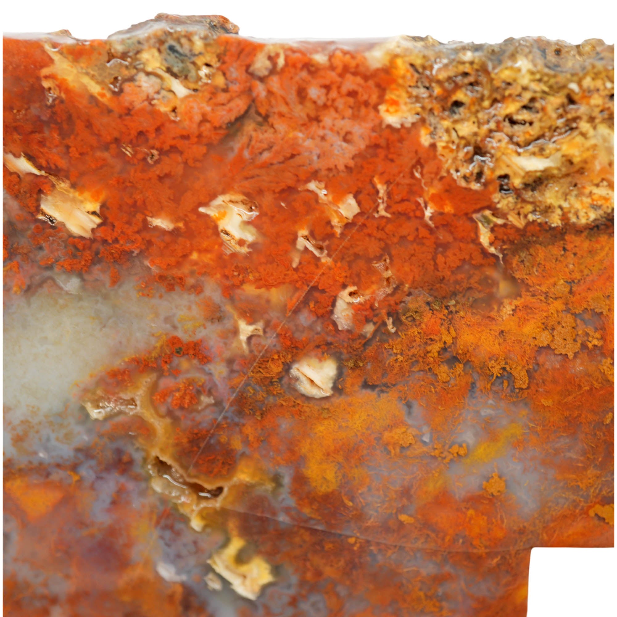 Powell Butte Plume Agate Slab - Neat Plume Old Stock Vintage Tag