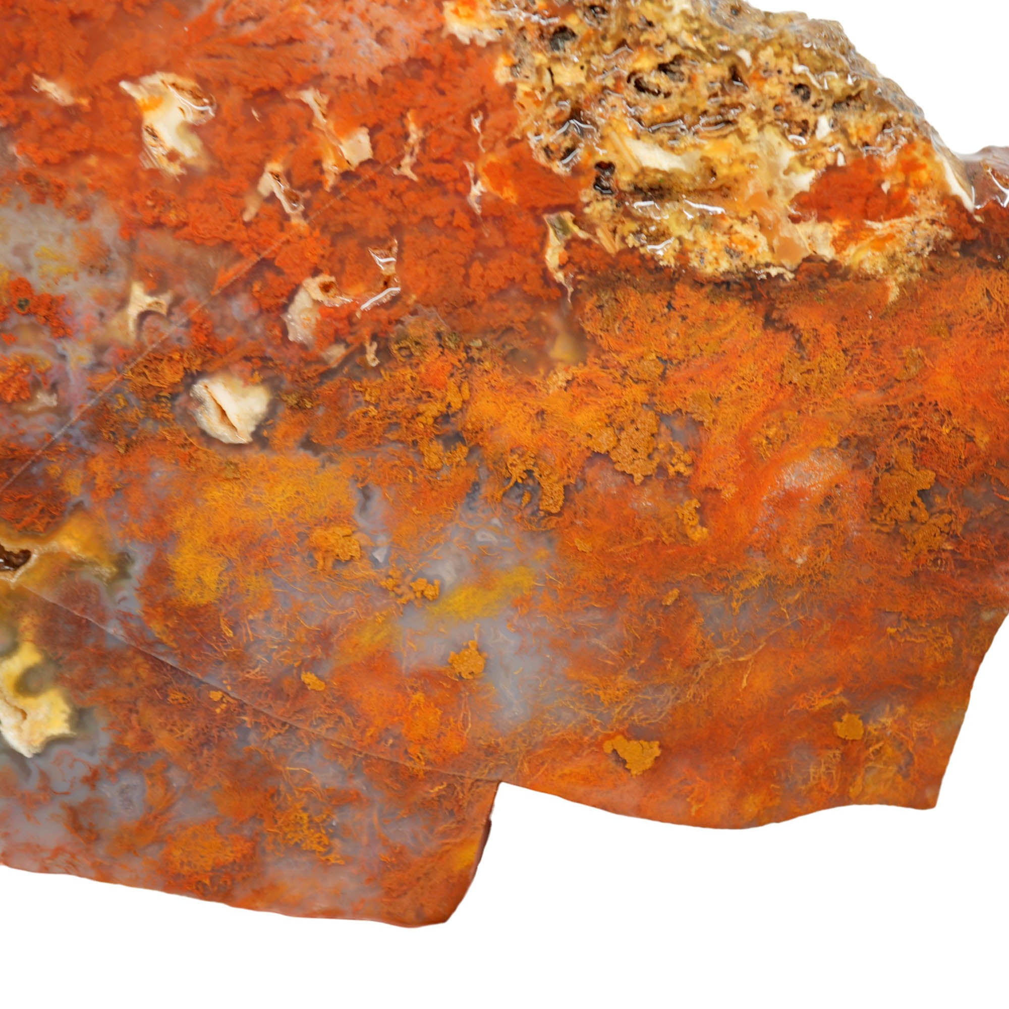 Powell Butte Plume Agate Slab - Neat Plume Old Stock Vintage Tag
