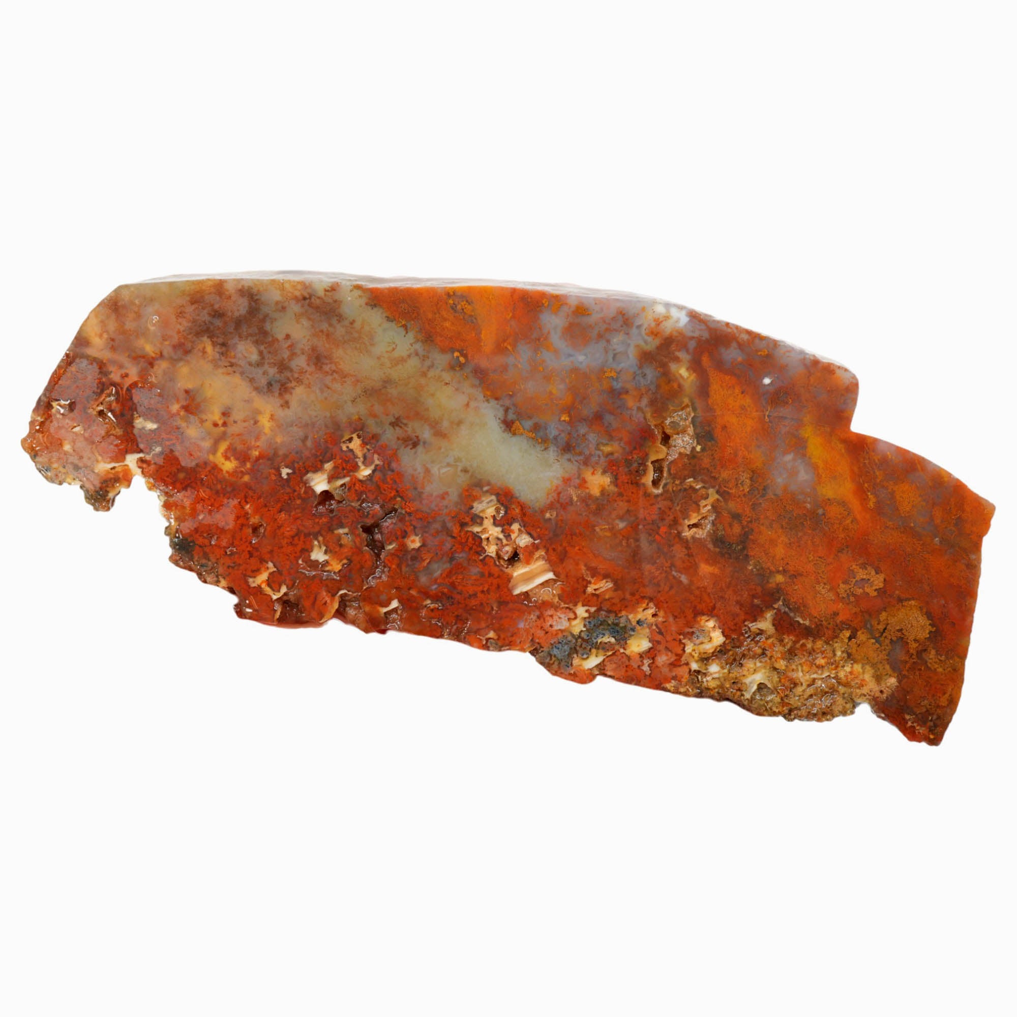 Powell Butte Plume Agate Slab - Neat Plume Old Stock Vintage Tag