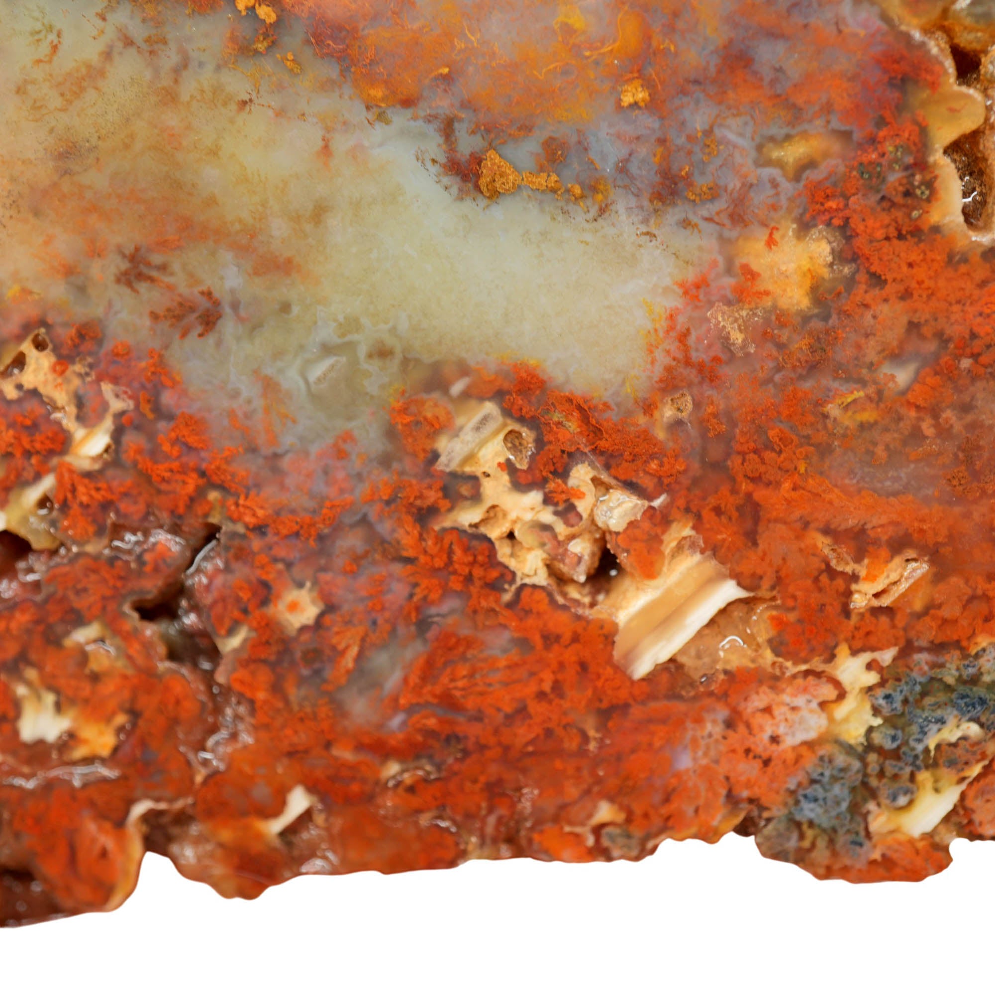 Powell Butte Plume Agate Slab - Neat Plume Old Stock Vintage Tag
