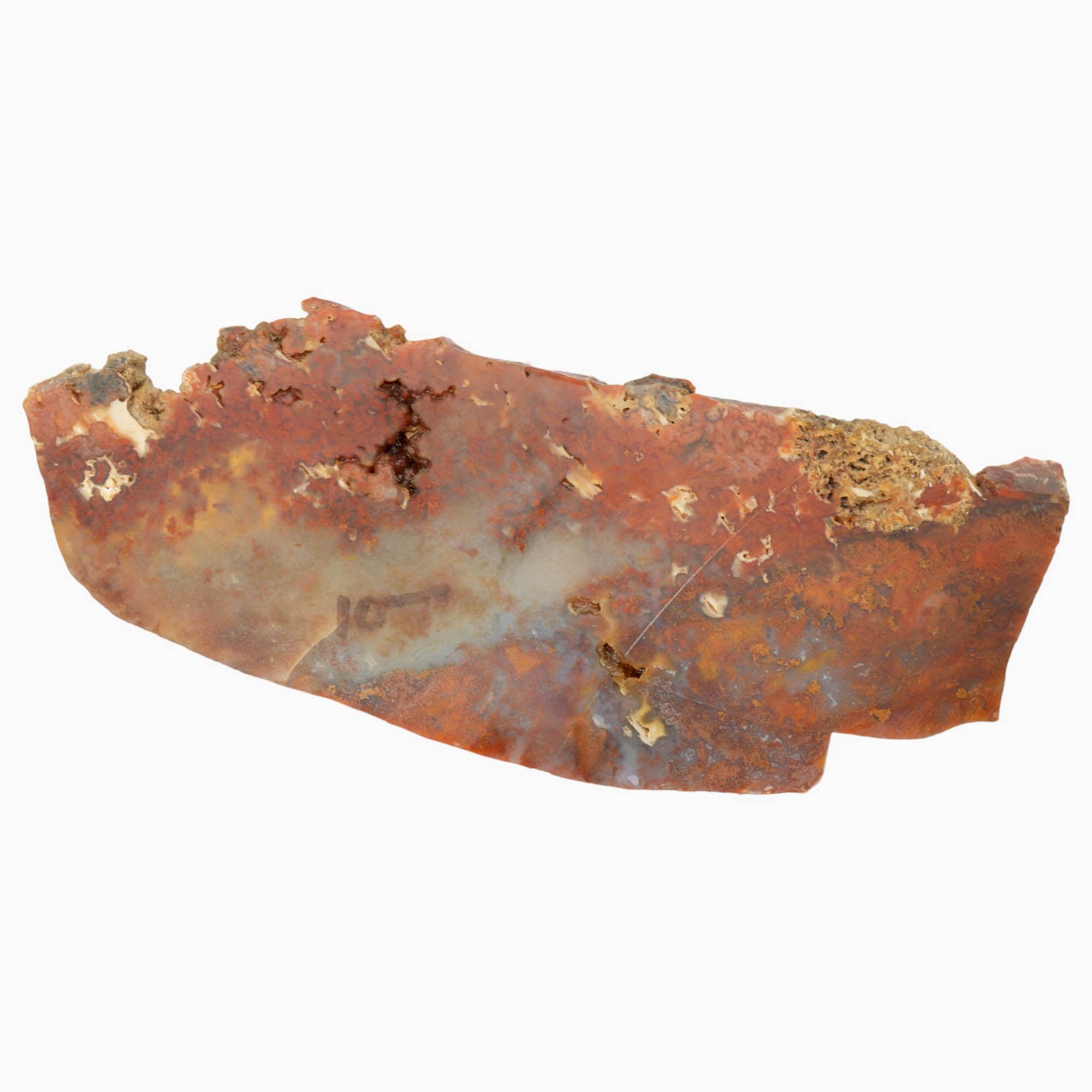 Powell Butte Plume Agate Slab - Neat Plume Old Stock Vintage Tag
