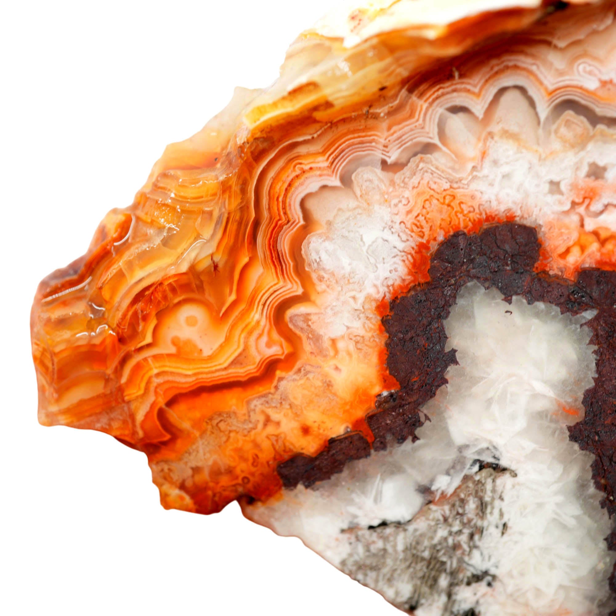 Crazy Lace Agate Slab - Black-Outlined Snowflakes with Lace