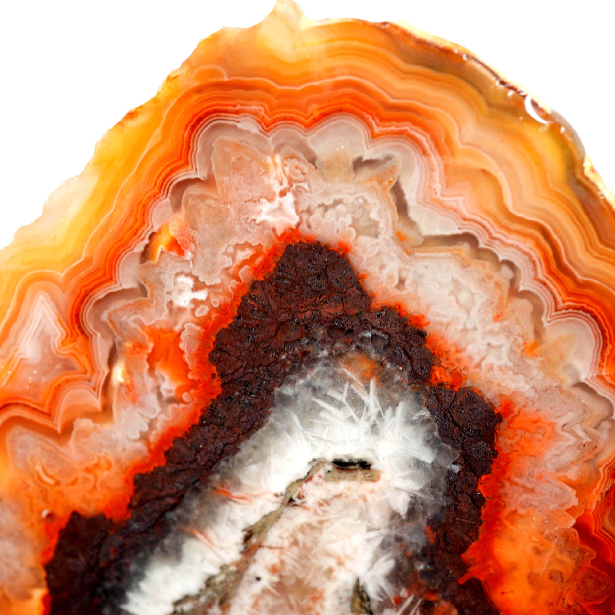 Crazy Lace Agate Slab - Black-Outlined Snowflakes with Lace