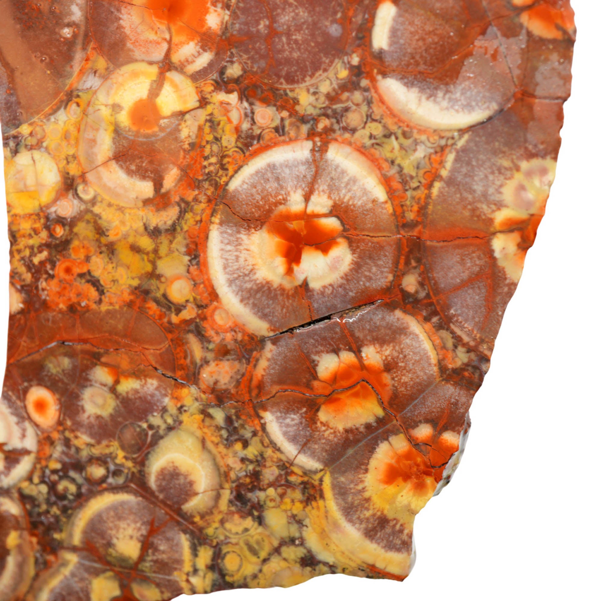 Birdseye Rhyolite Slab - Birdseye Pattern with Stunning Purple Old Stock