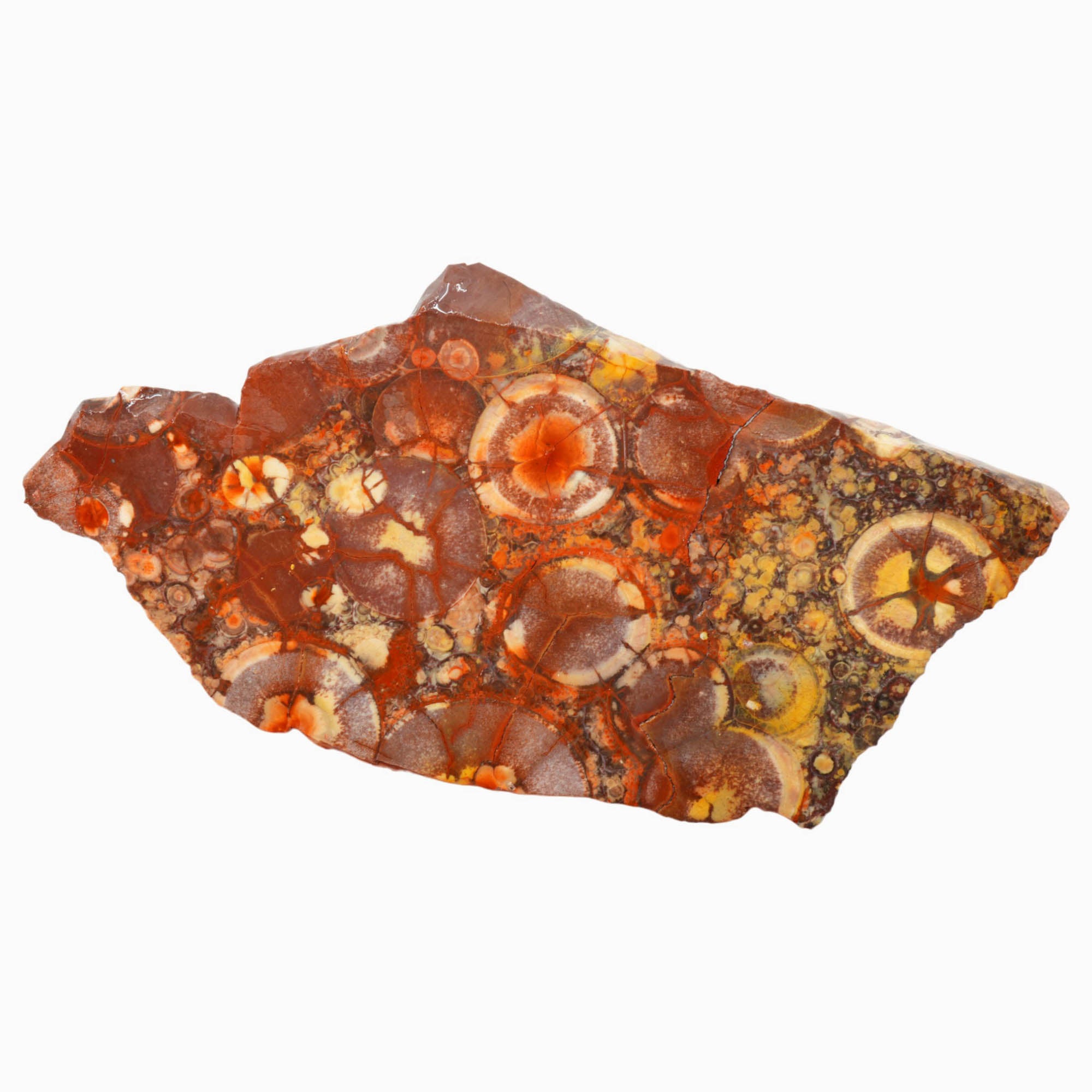 Birdseye Rhyolite Slab - Birdseye Pattern with Stunning Purple Old Stock