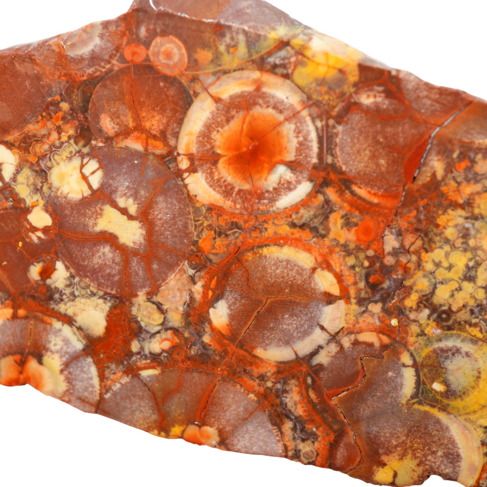 Birdseye Rhyolite Slab - Birdseye Pattern with Stunning Purple Old Stock