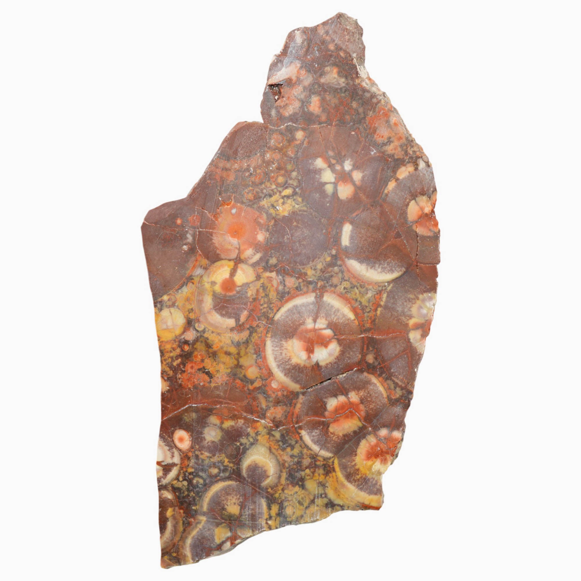 Birdseye Rhyolite Slab - Birdseye Pattern with Stunning Purple Old Stock