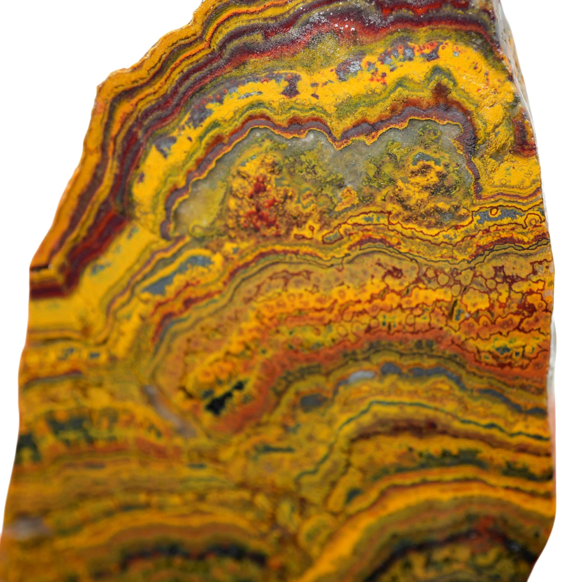 Apple Valley Jasper Slab - Red Waves with Hematite Flowers Stromatolite
