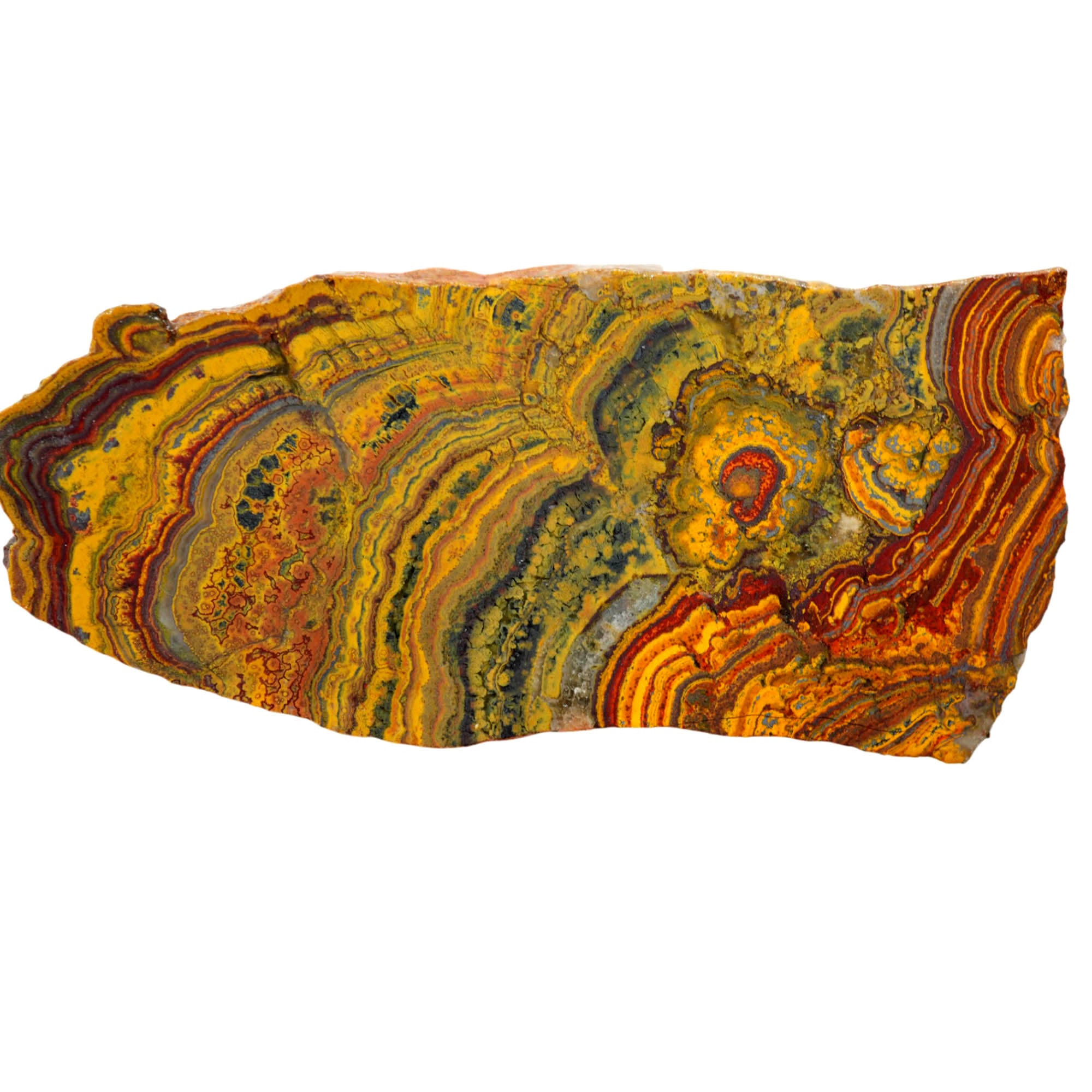 Apple Valley Jasper Slab - Red Waves with Hematite Flowers Stromatolite