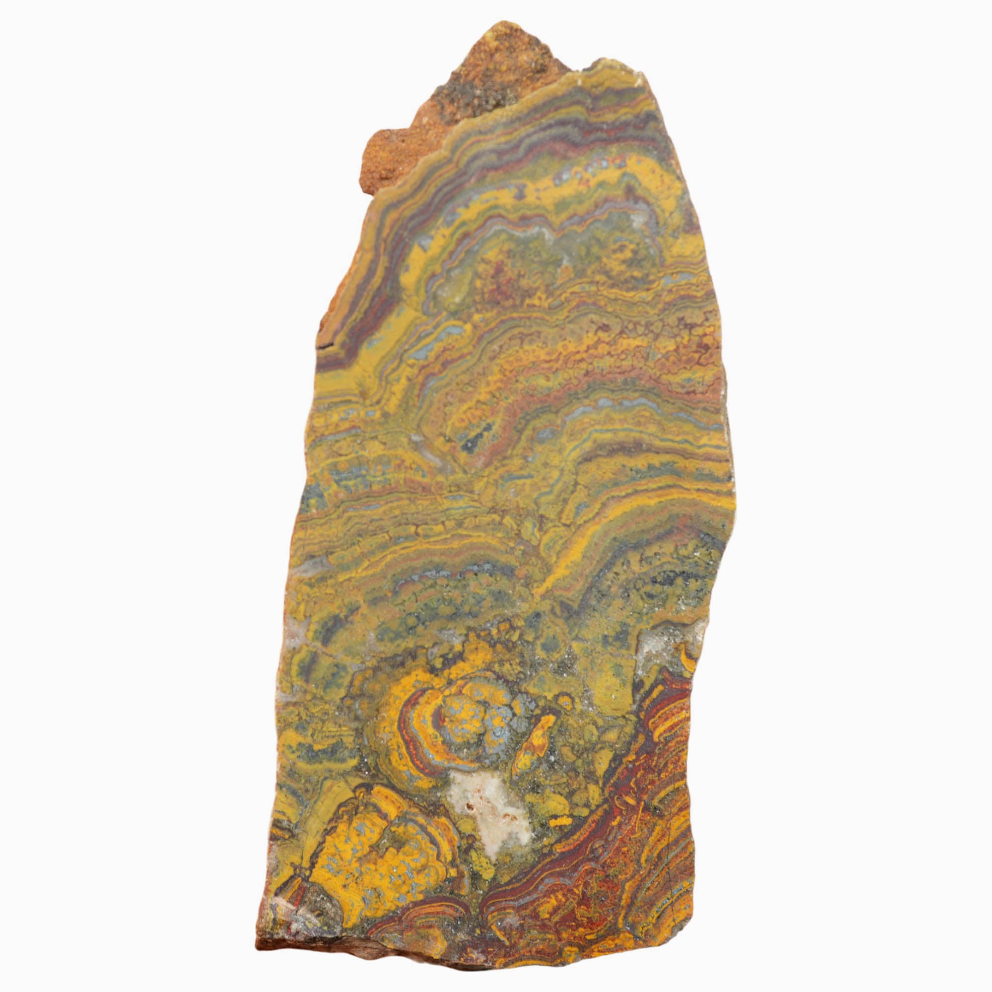 Apple Valley Jasper Slab - Red Waves with Hematite Flowers Stromatolite