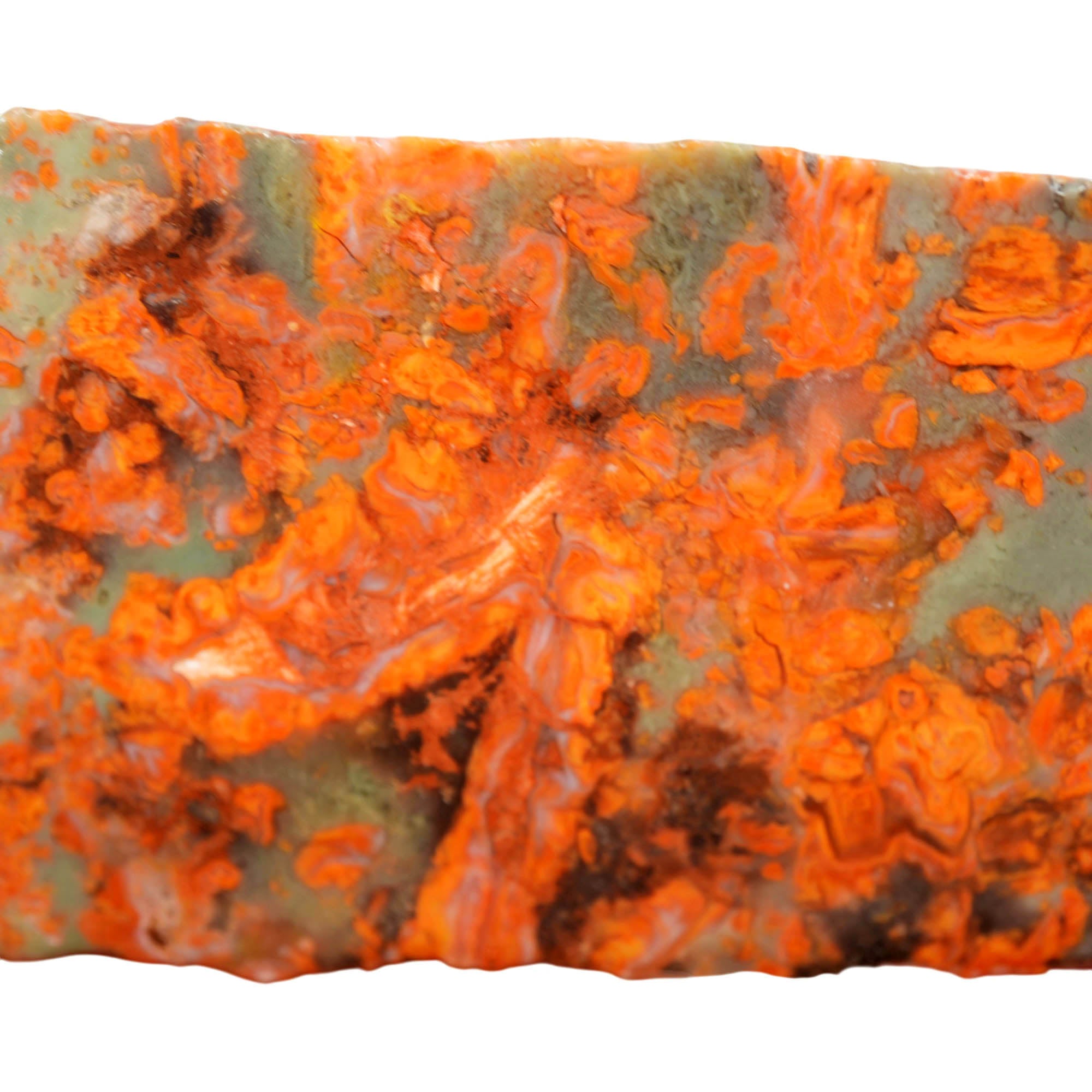 Rosebud Jasper Slab - Bright Red on Green with Rose Formations