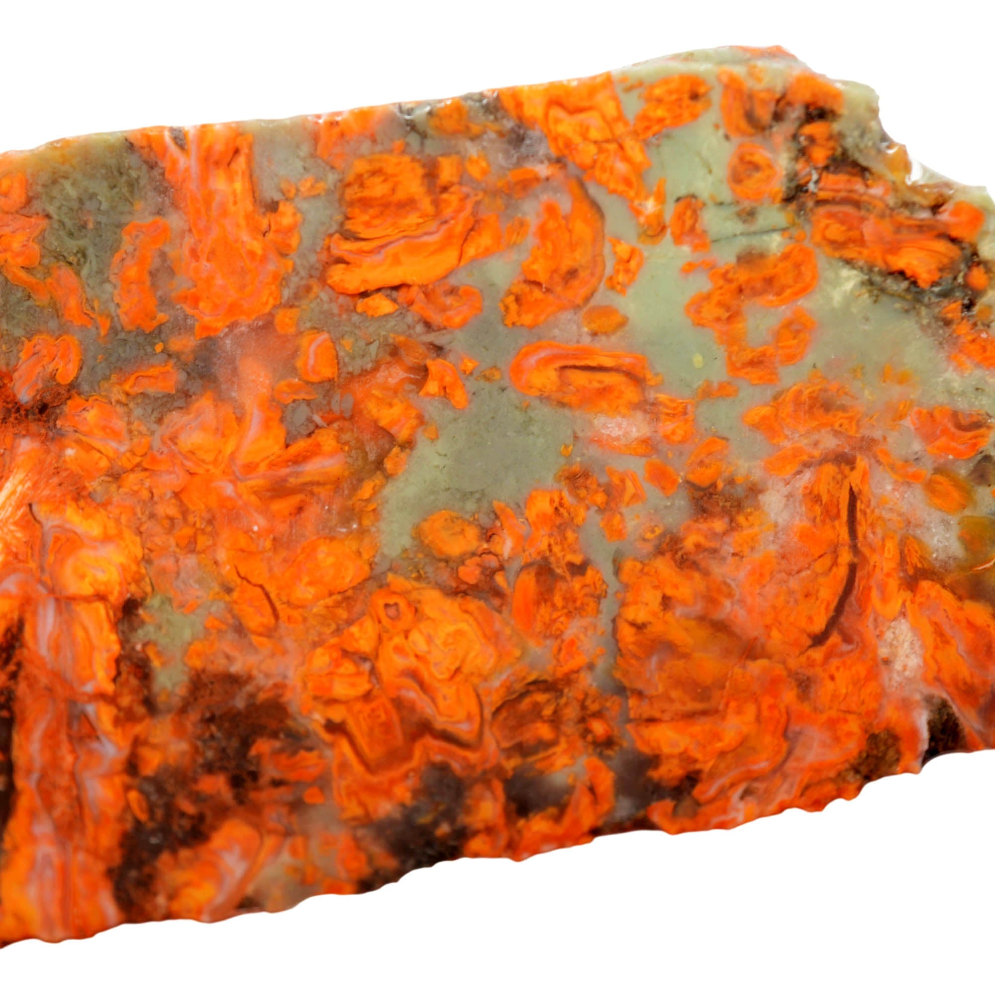 Rosebud Jasper Slab - Bright Red on Green with Rose Formations