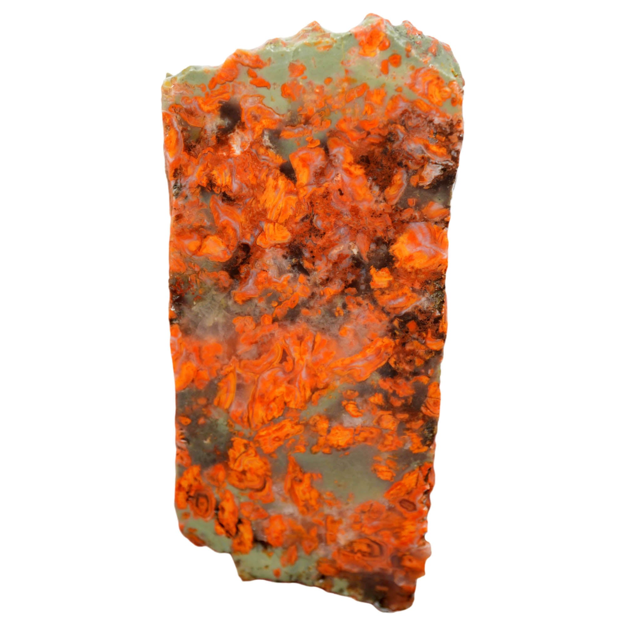 Rosebud Jasper Slab - Bright Red on Green with Rose Formations
