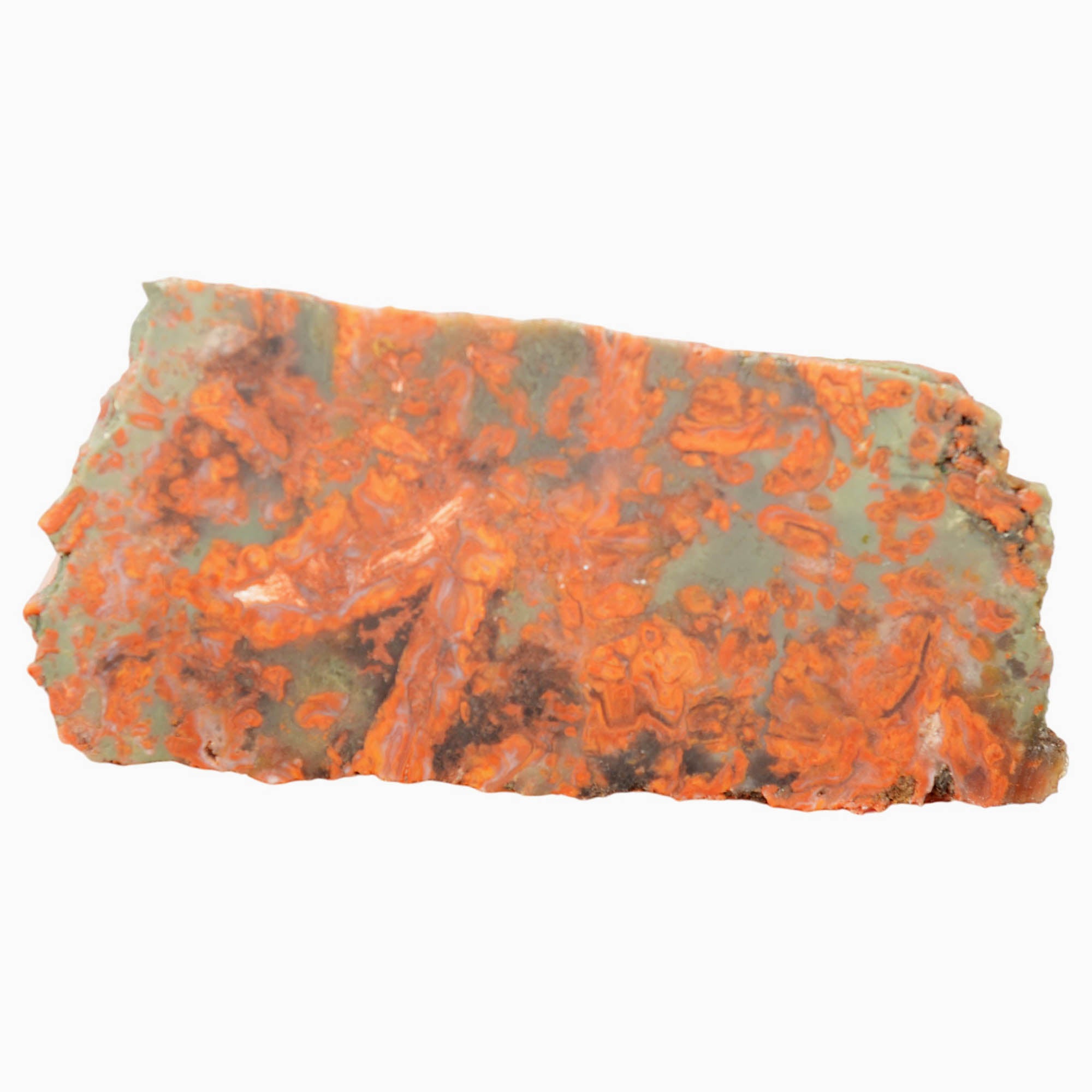 Rosebud Jasper Slab - Bright Red on Green with Rose Formations