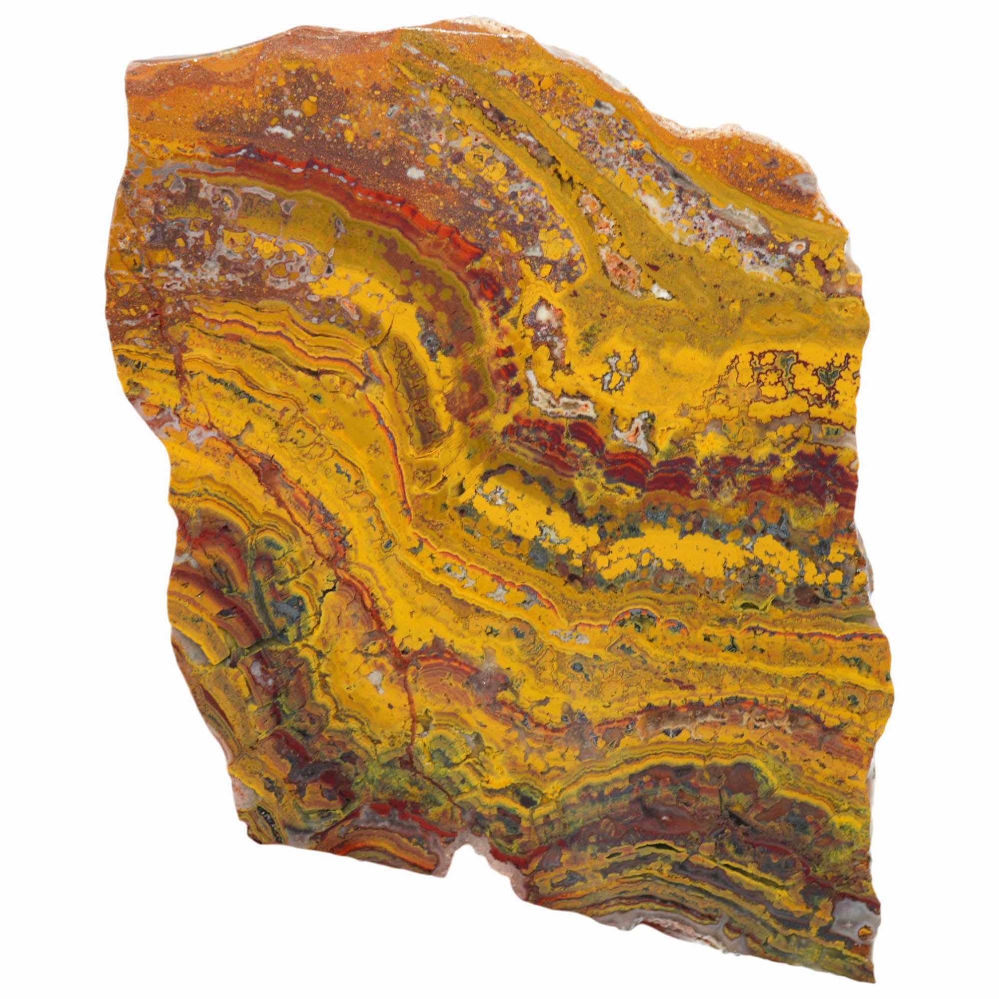 Apple Valley Jasper Slab - High-Grade Red Gold Waves Oolitic Stromatolite