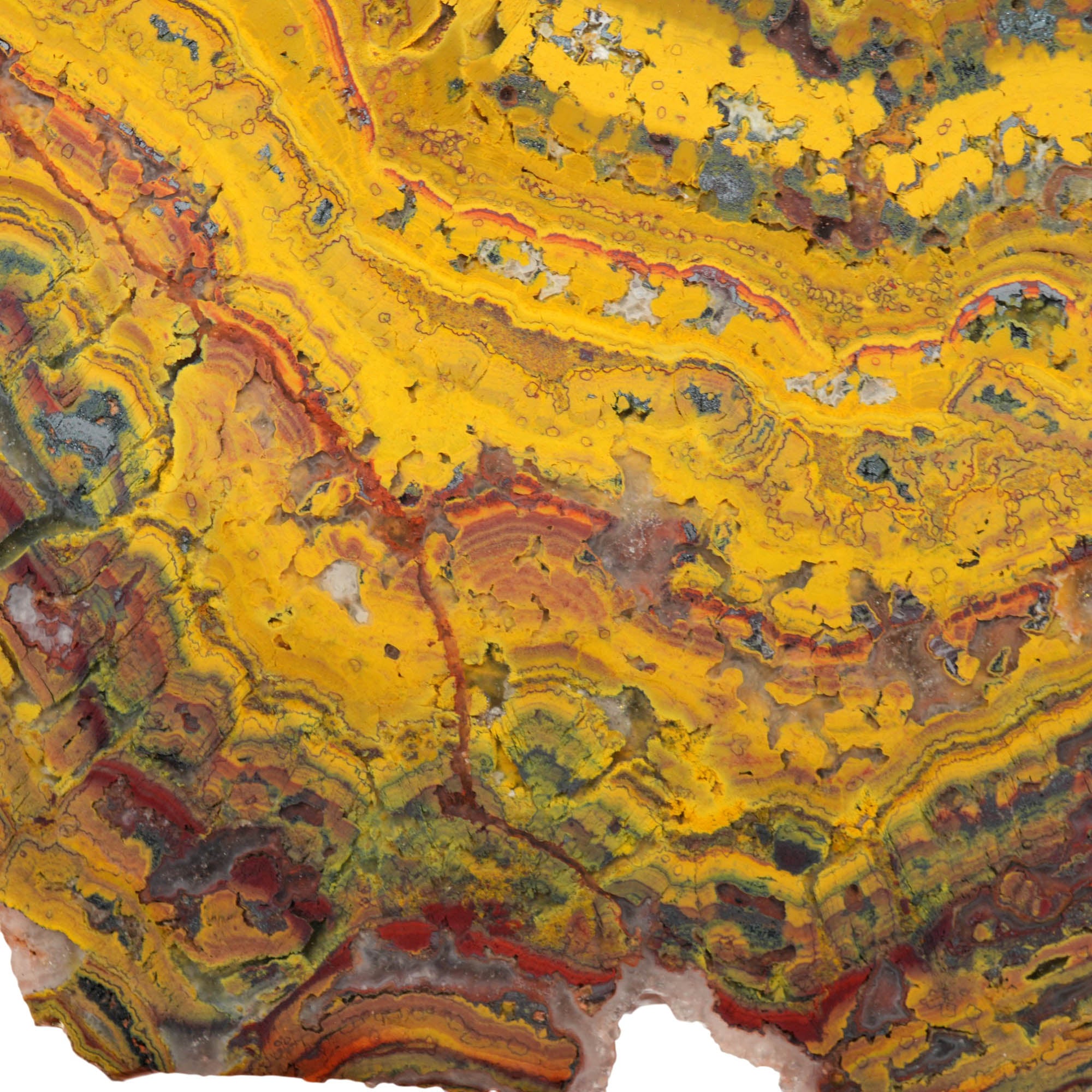 Apple Valley Jasper Slab - High-Grade Red Gold Waves Oolitic Stromatolite