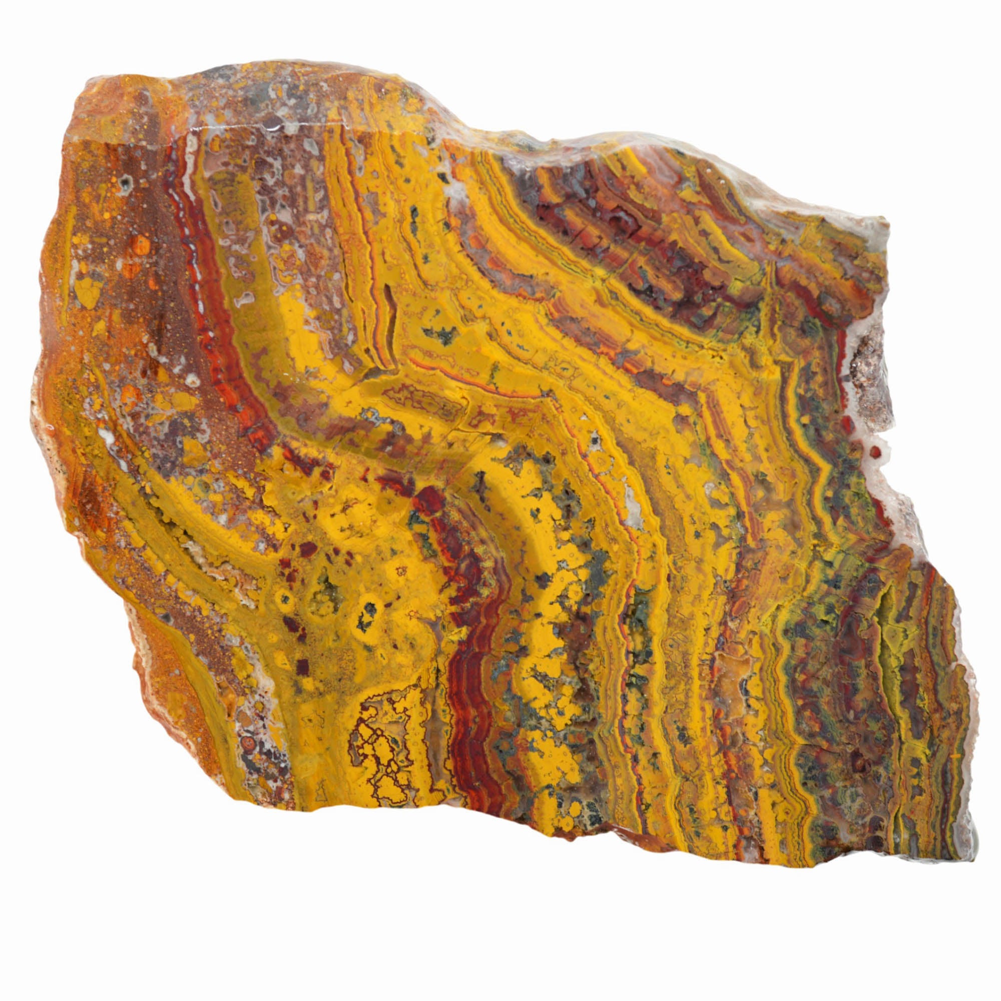 Apple Valley Jasper Slab - High-Grade Red Gold Waves Oolitic Stromatolite