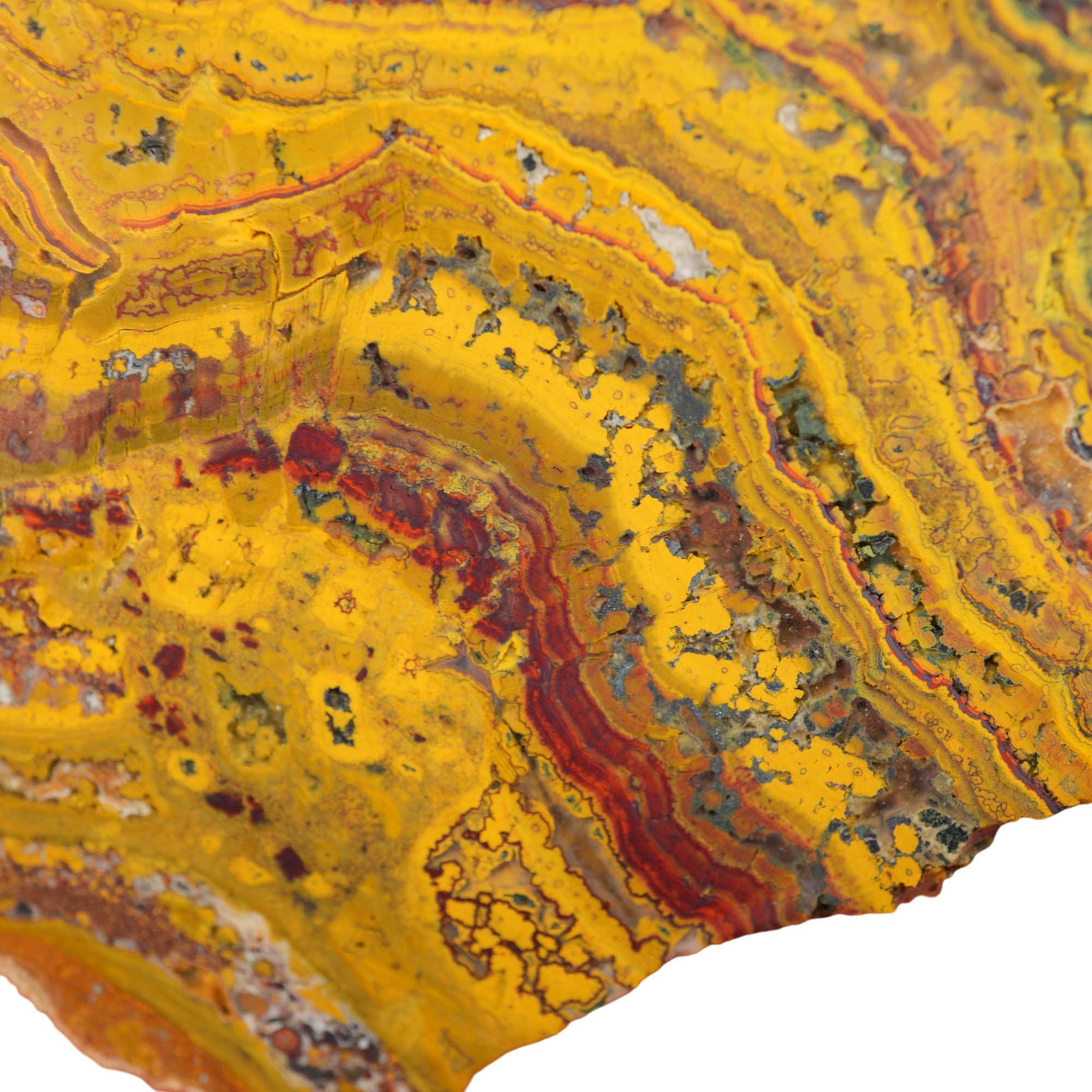 Apple Valley Jasper Slab - High-Grade Red Gold Waves Oolitic Stromatolite