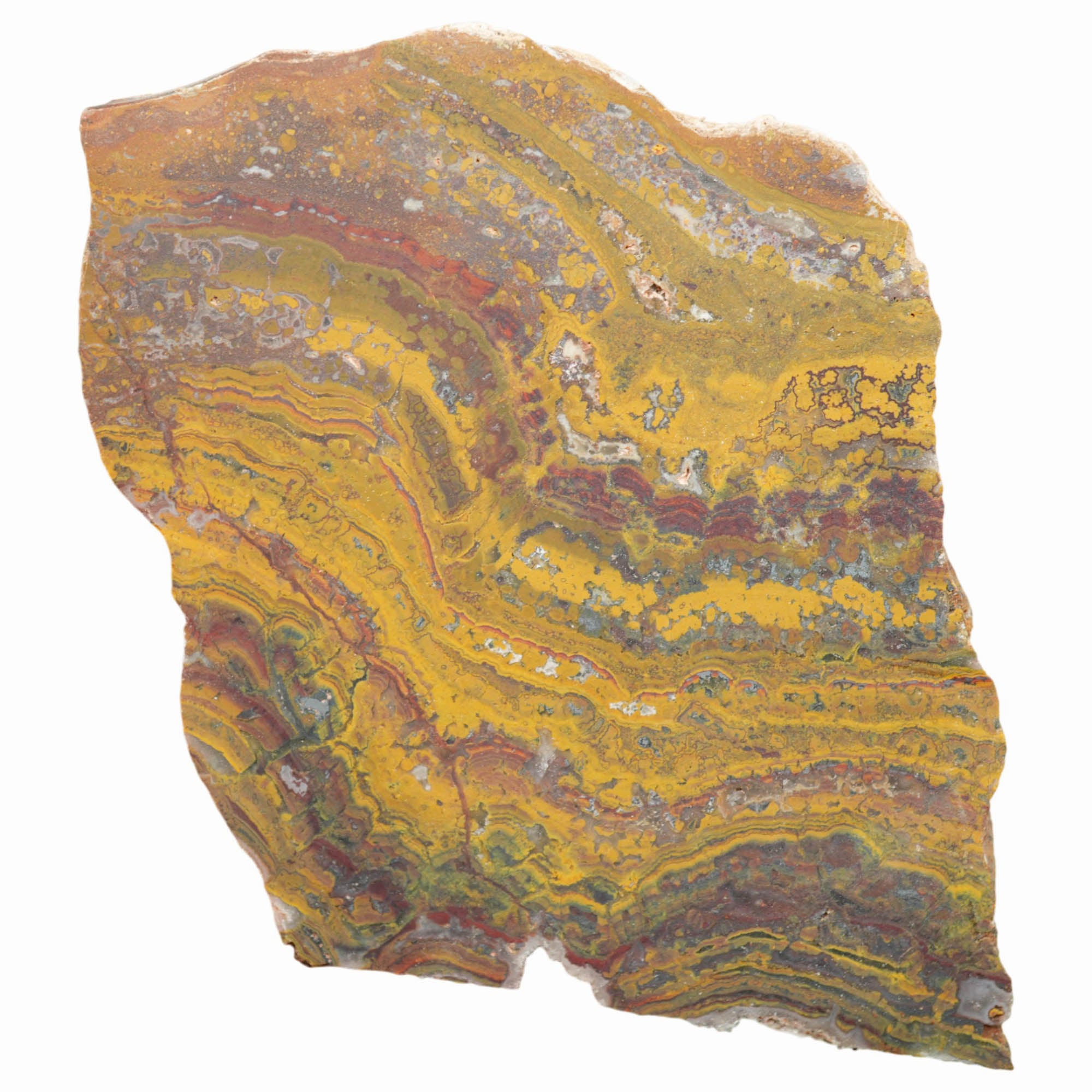 Apple Valley Jasper Slab - High-Grade Red Gold Waves Oolitic Stromatolite