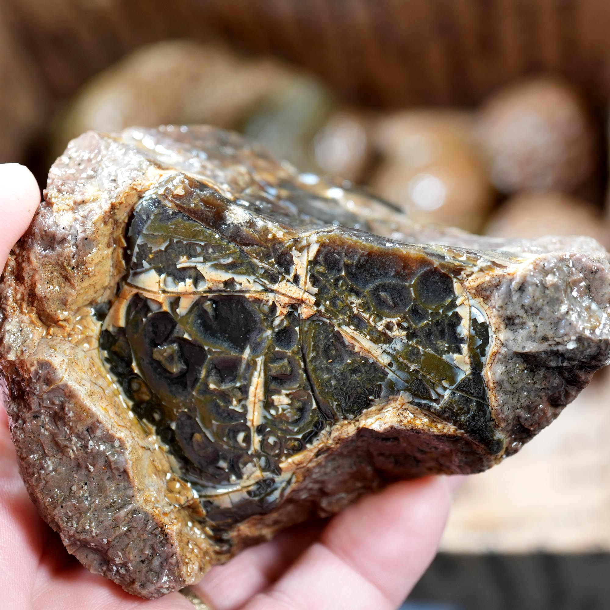 Old Stock Rare Mix Oregon Thunderegg Flatrate
