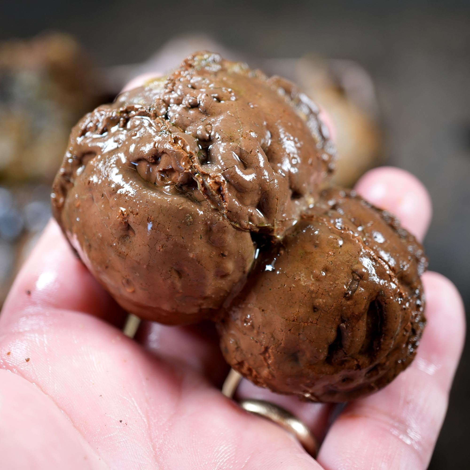 Old Stock Rare Mix Oregon Thunderegg Flatrate