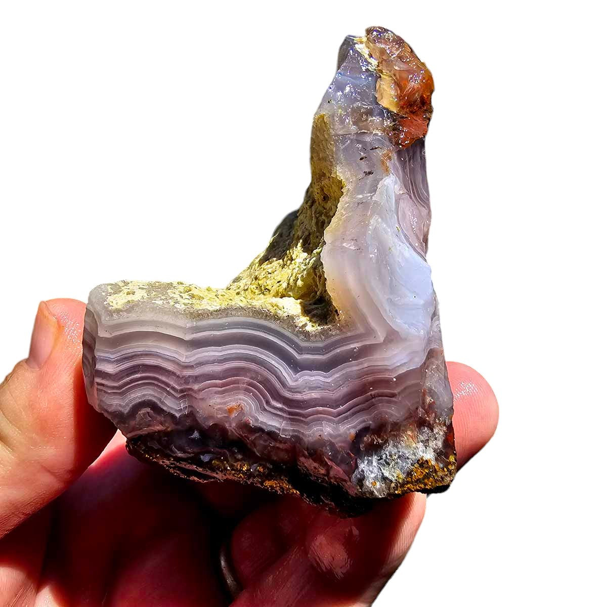 High Grade Select Agua Nueva Agate New Water Agate Rough Chunk!